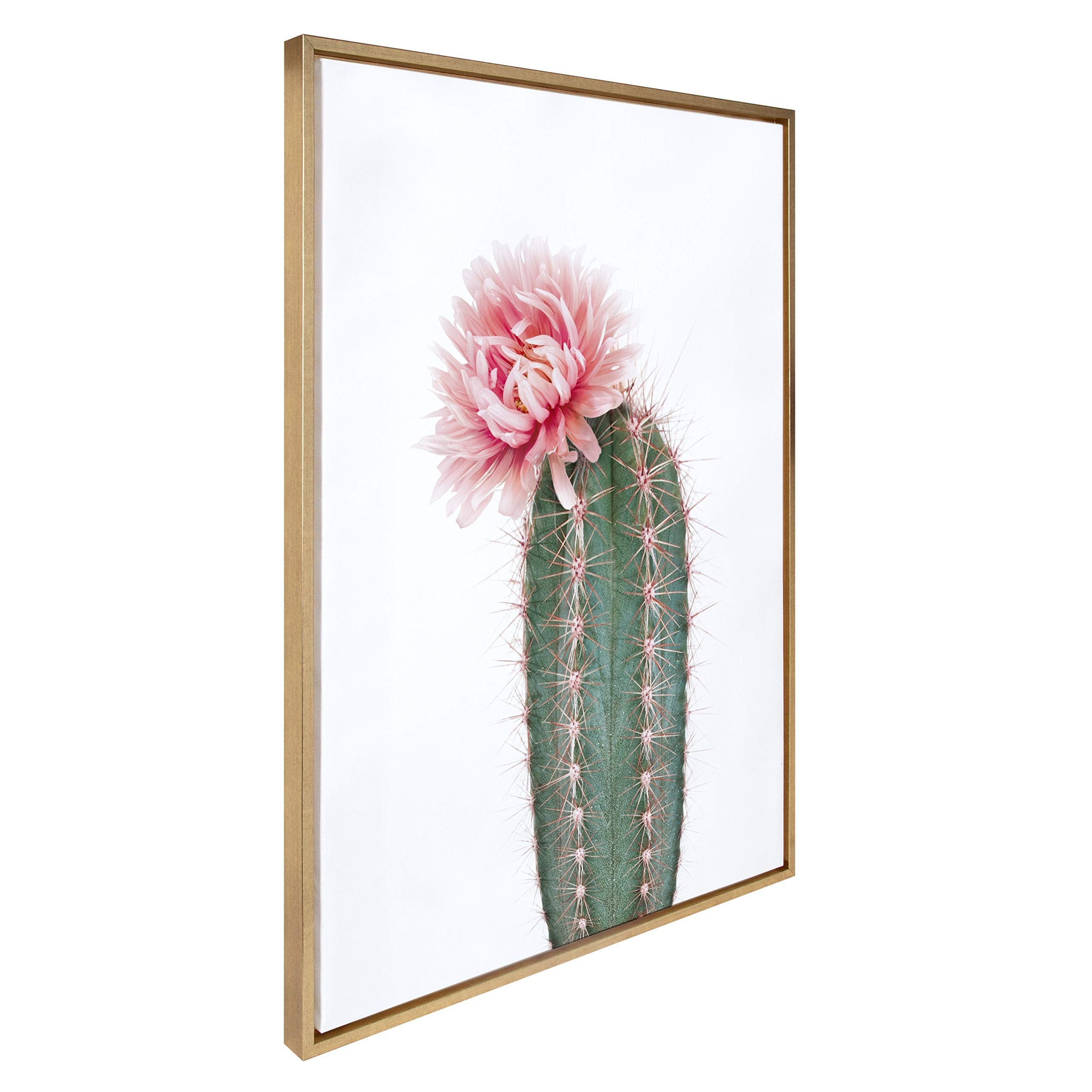 Kate And Laurel Sylvie Pink Cactus Flower Framed Canvas Wall Art By Amy Peterson, 28X38 Gold