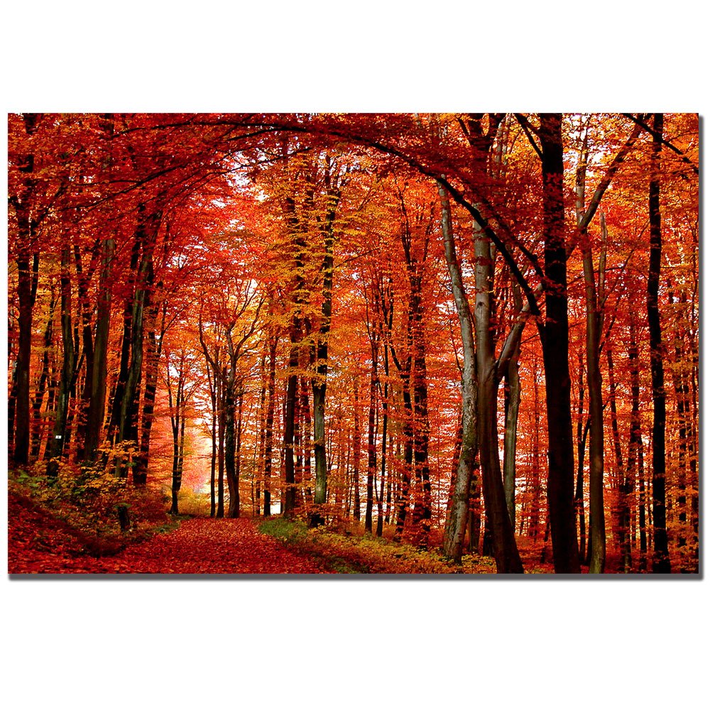 The Red Way By Philippe Sainte-Laudy, 30X47-Inch Canvas Wall Art
