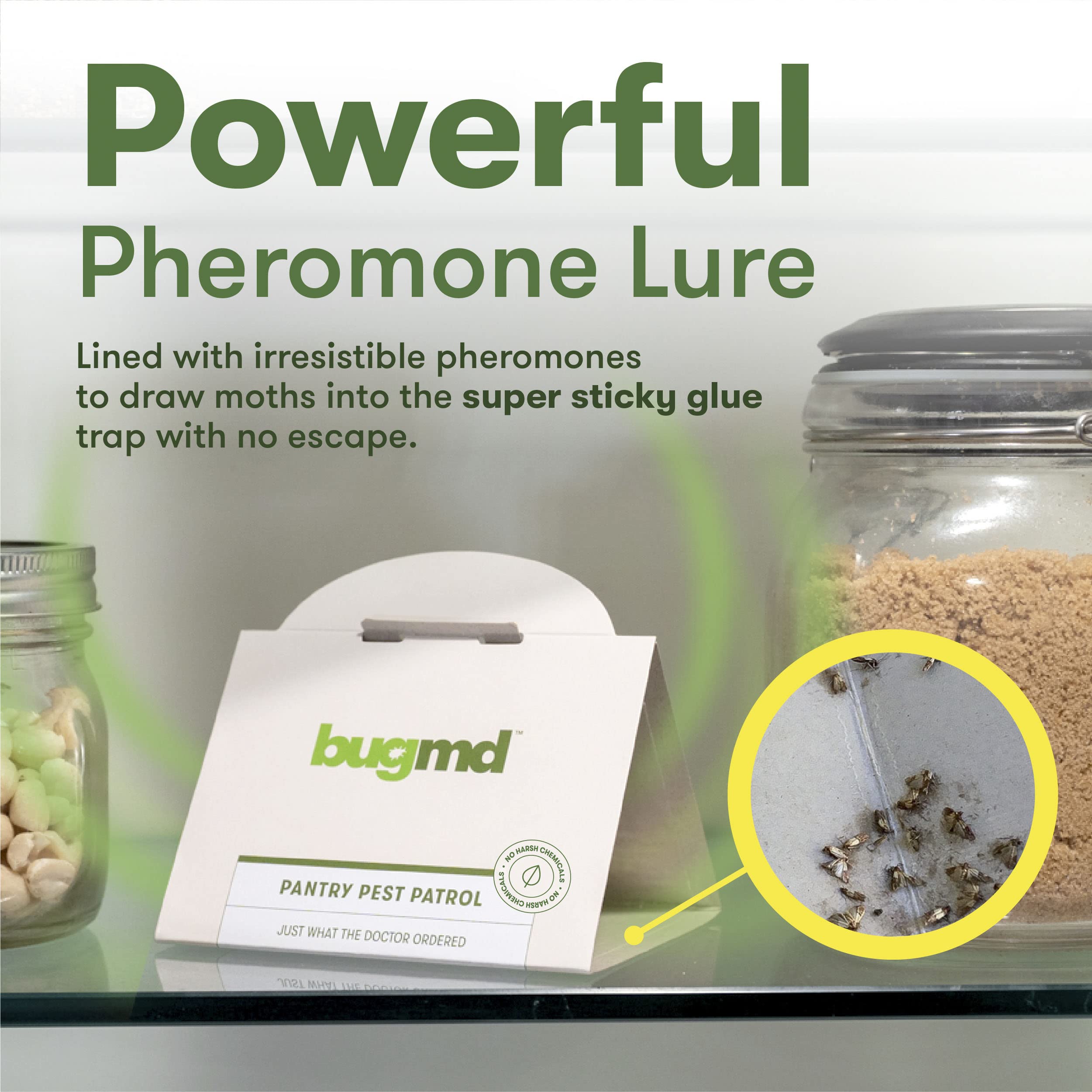 Bugmd Pantry Pest Patrol (6 Count) - Moth Traps For Kitchen, Pantry Moth Trap, Bug Trap, Moth Traps For House Pantry, Get Rid Of