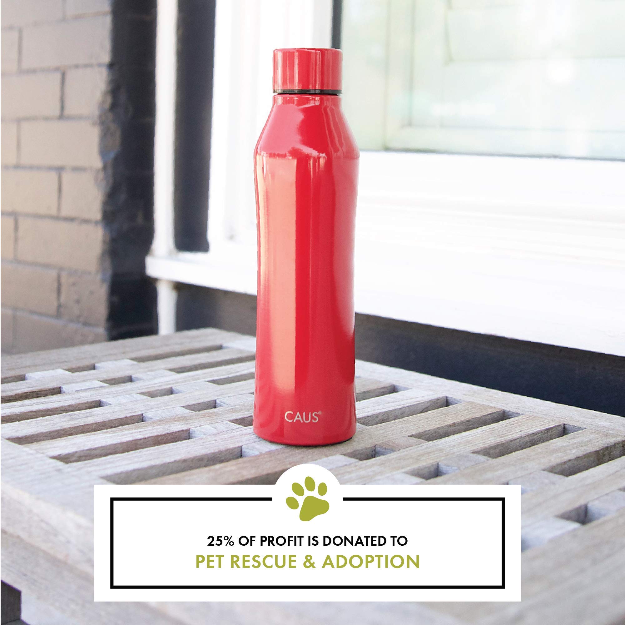 Caus Red Pet Stainless Steel Bottle, 17 Oz