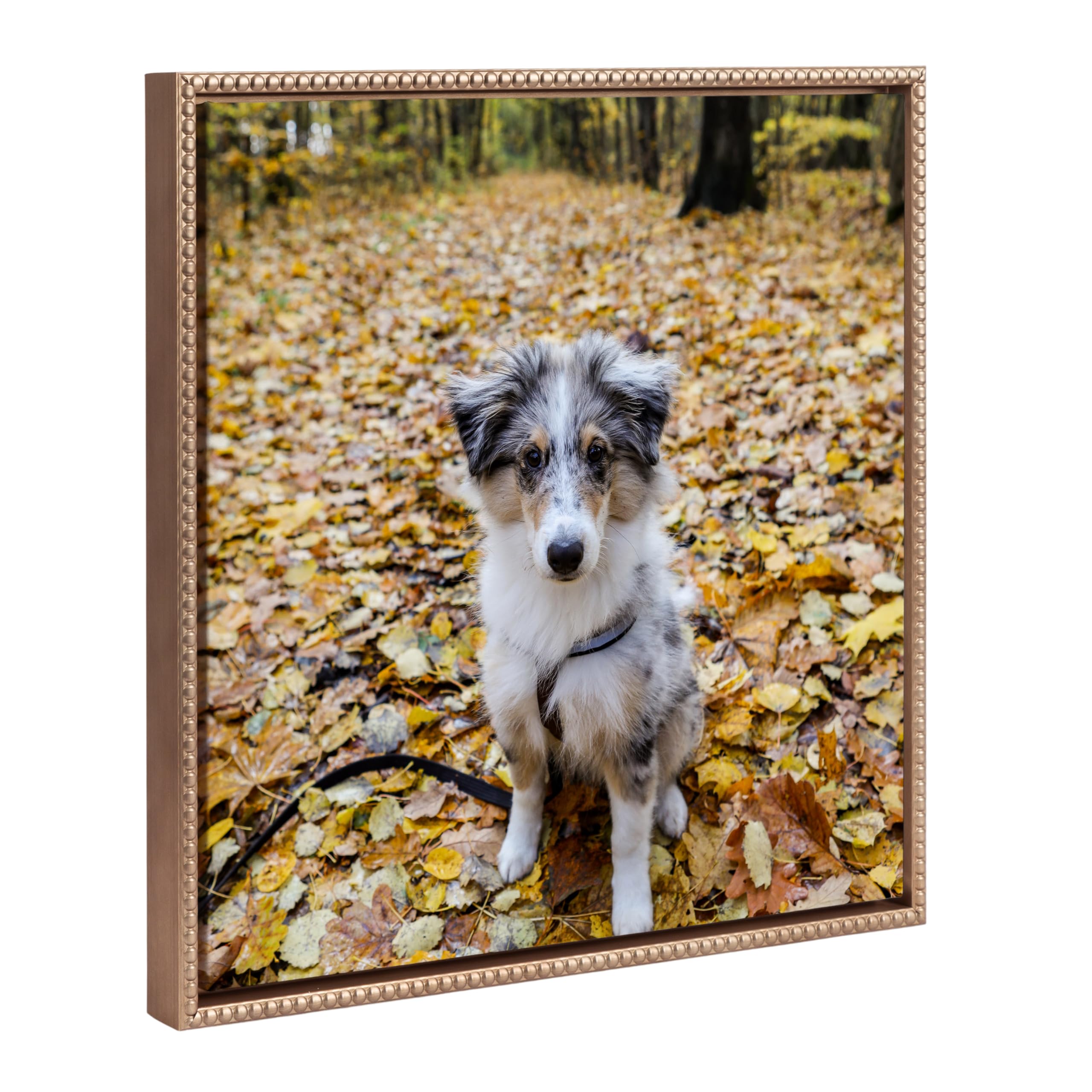 Kate And Laurel Sylvie Square Custom Printed Beaded Framed Canvas Wall Art, 22X22 Gold, Personal Canvas Print With Your Photos F