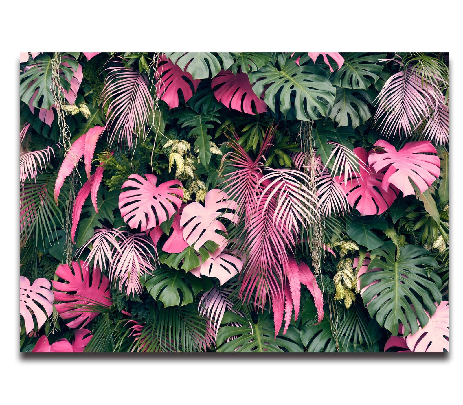 Cliouar-Wall Mural Wallpaper For Bedroom Living Room 3D Mural Monstera Tropical Plant Green Plant Banana Leaf Palm Leaf 158'' X