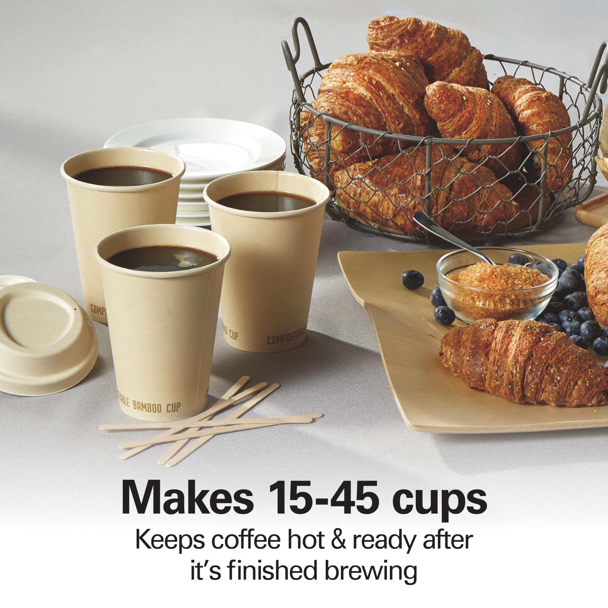 Hamilton Beach 45 Cup Fast Brew Coffee Urn And Hot Beverage Dispenser, 40521