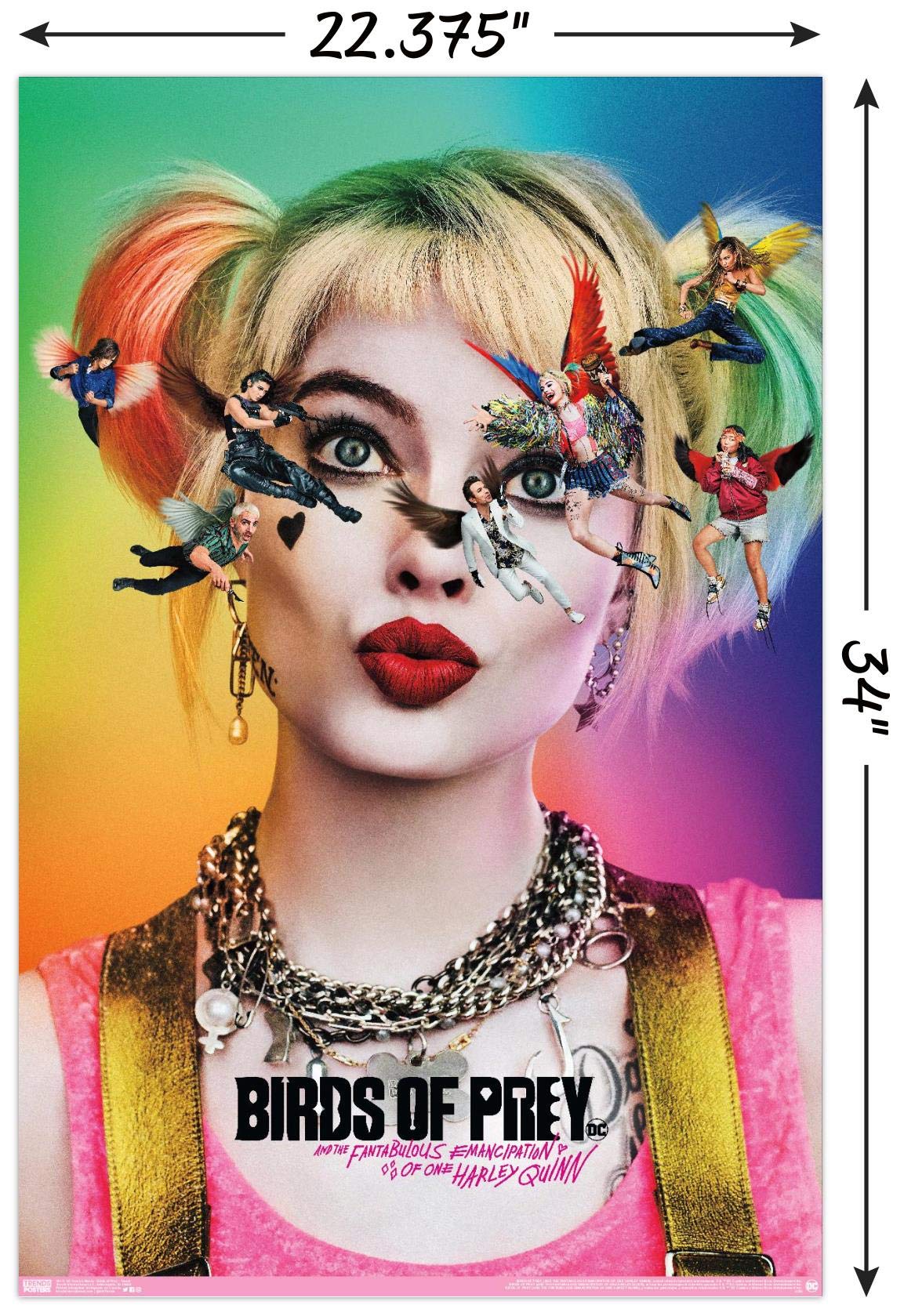 Trends International Dc Comics Movie - Birds Of Prey - Teaser Wall Poster, 22.375'' X 34'', Poster & Mount Bundle