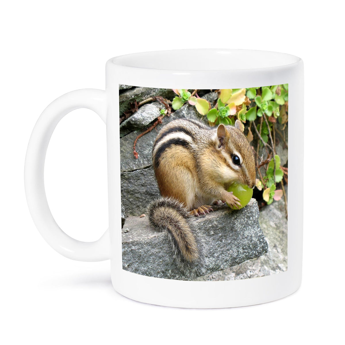 3dRose Chipmunk Mug, 15-Ounce