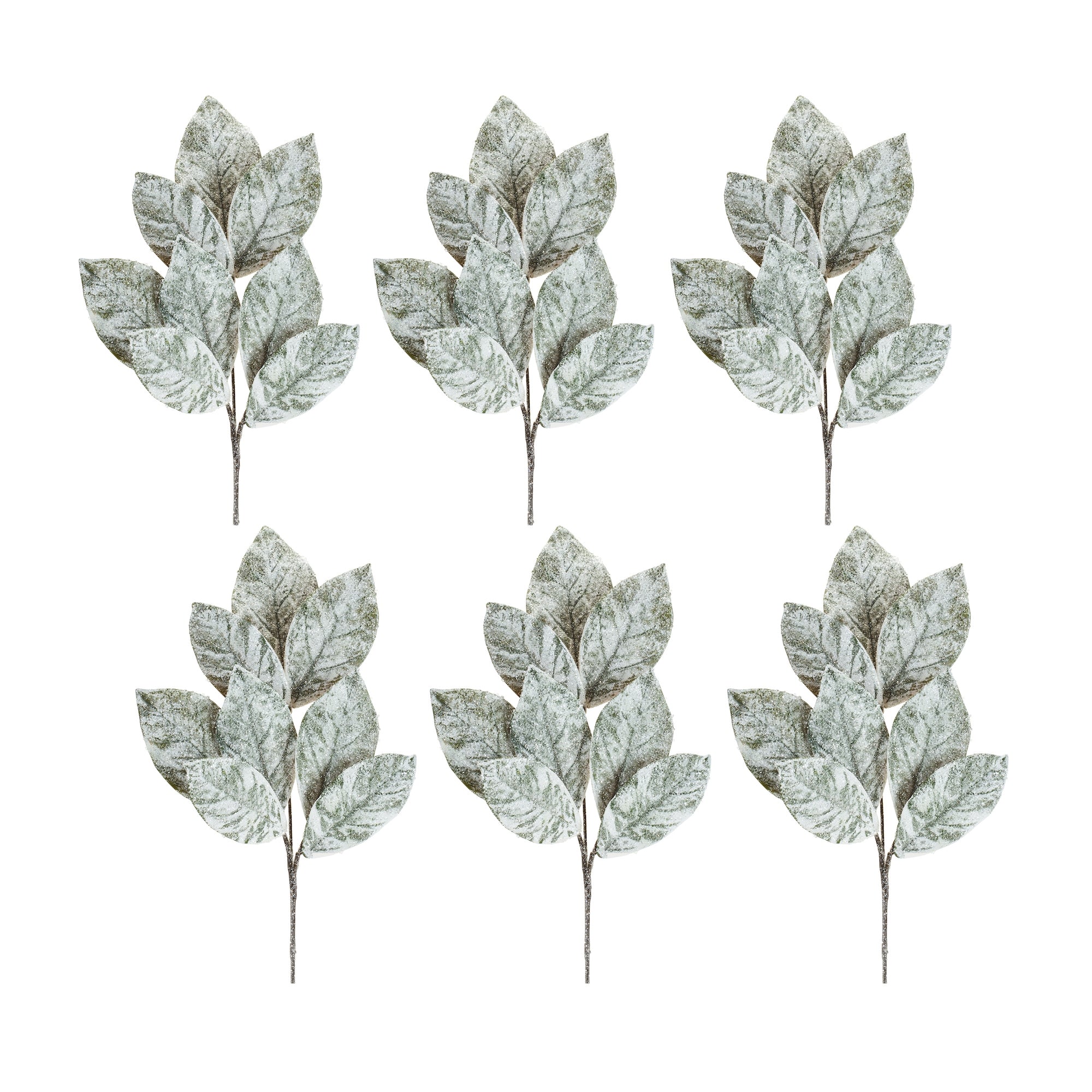 Magnolia Leaf Spray (Set of 6)