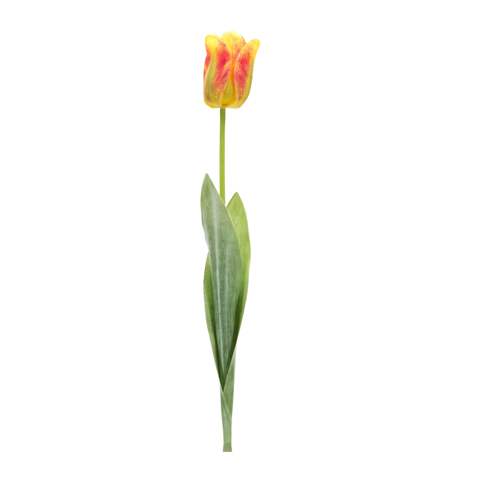 Tulip Stem (Set of 6) 27H Polyester/Plastic