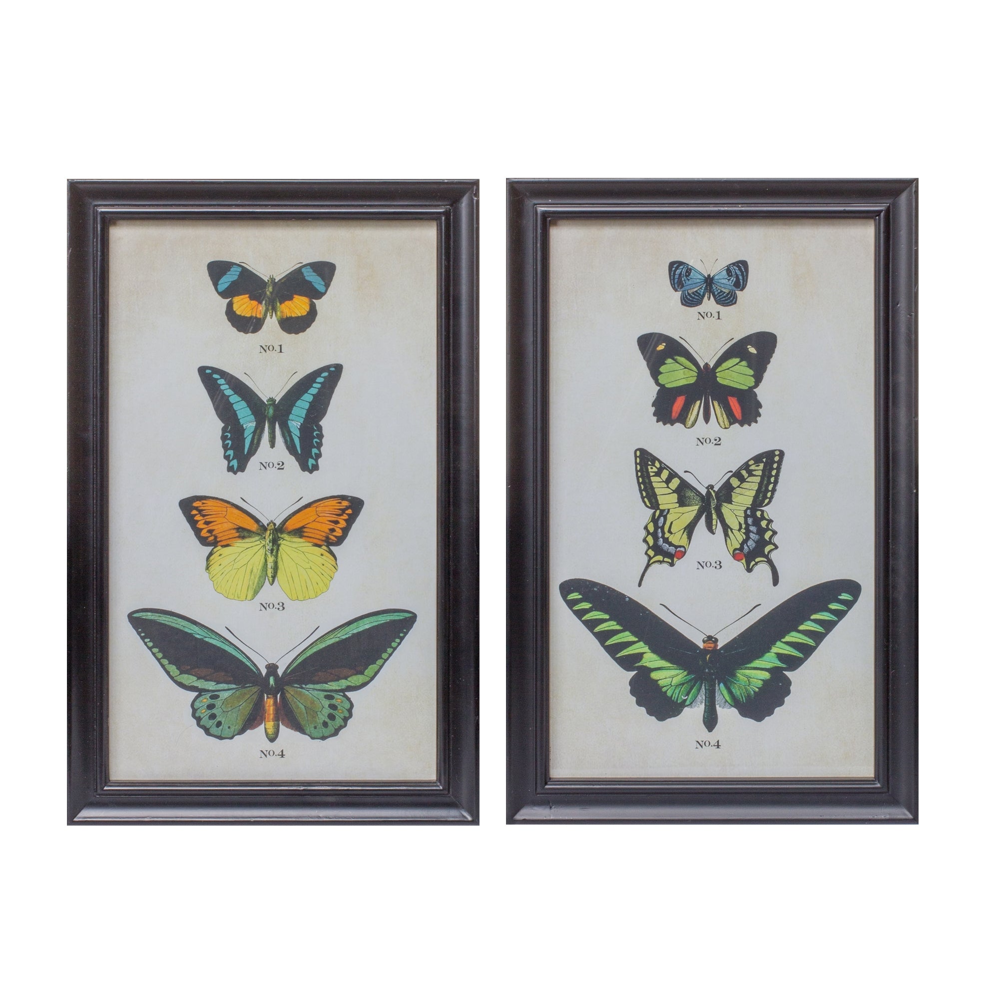 Framed Butterfly Print (Set Of 2)