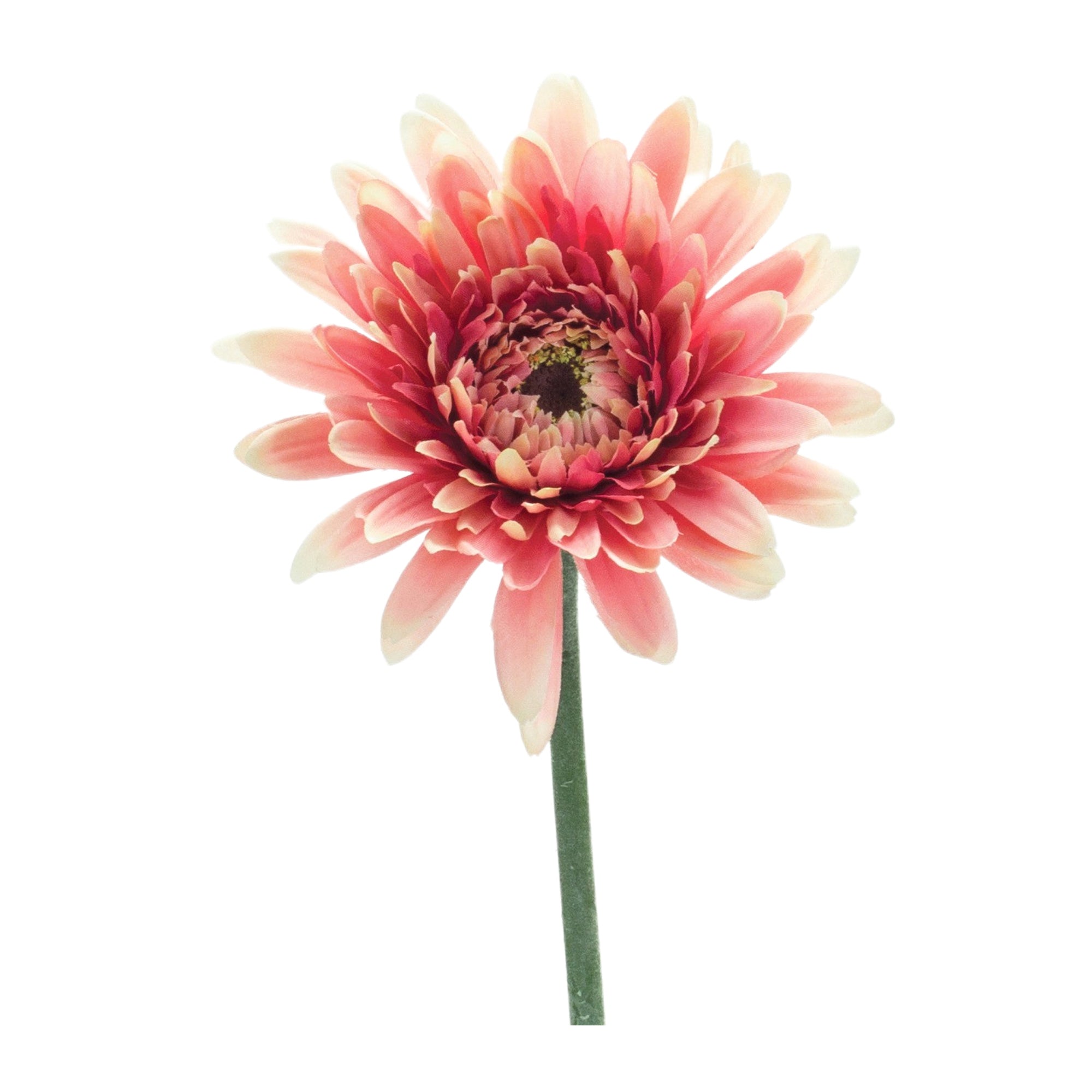 Gerbera Daisy Stem (Set of 6) 22H Polyester
