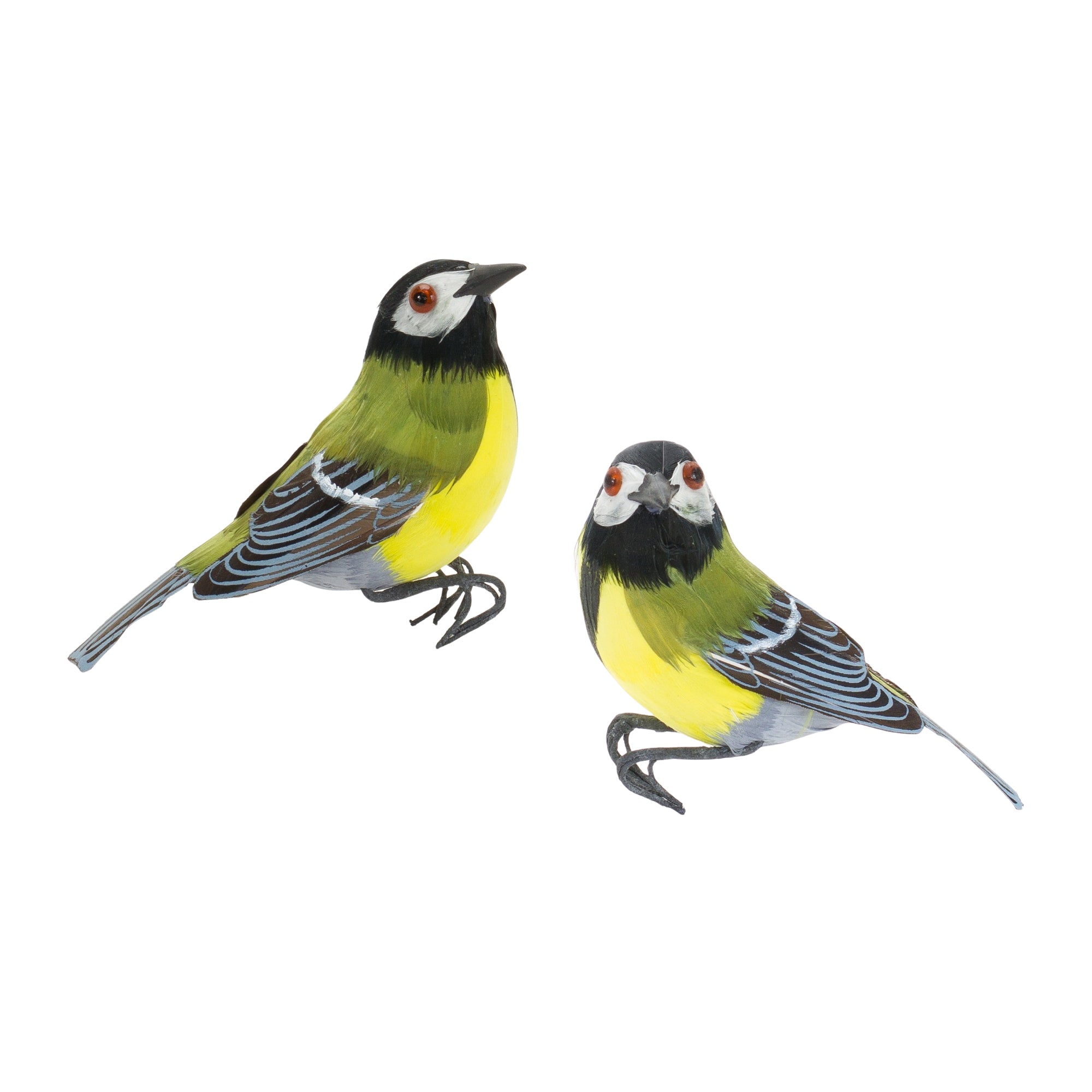 Bird (Set of 12) 3H, 3.5H Foam/Feather