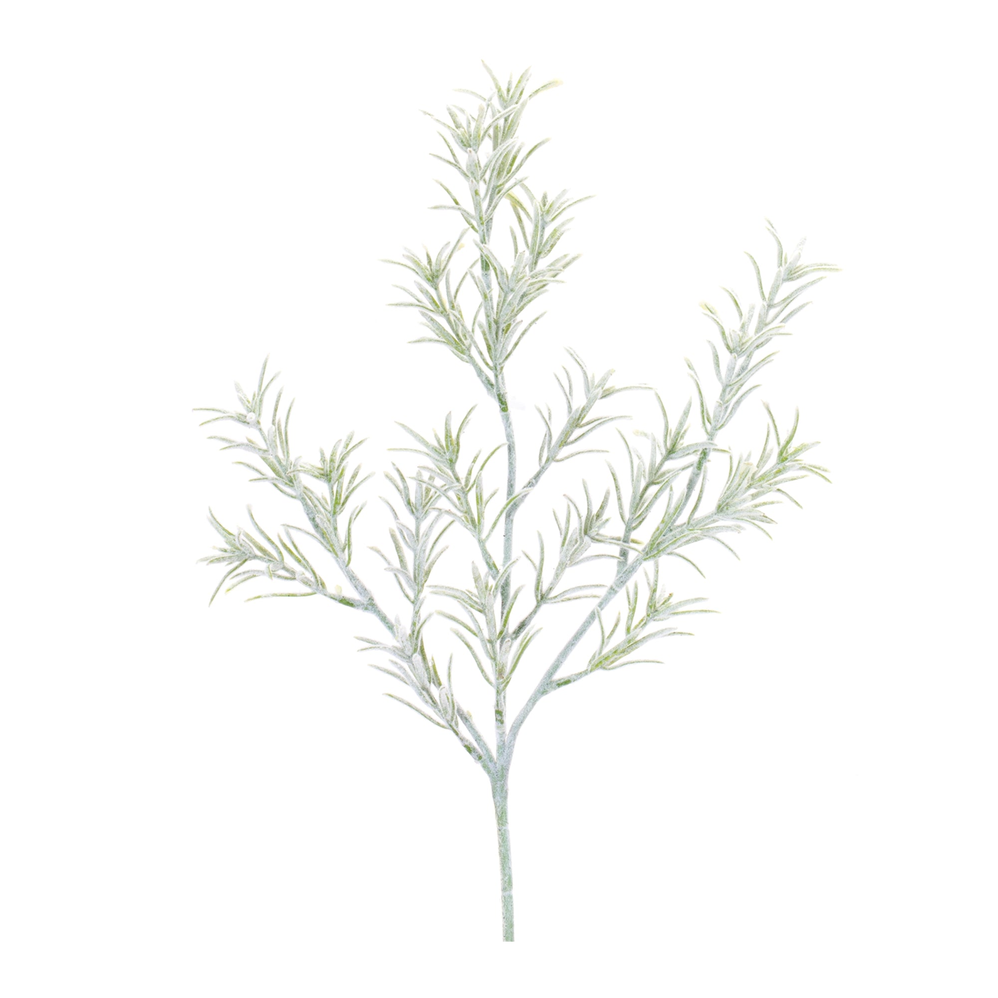 Rosemary Spray (Set of 6) 20.5H Plastic