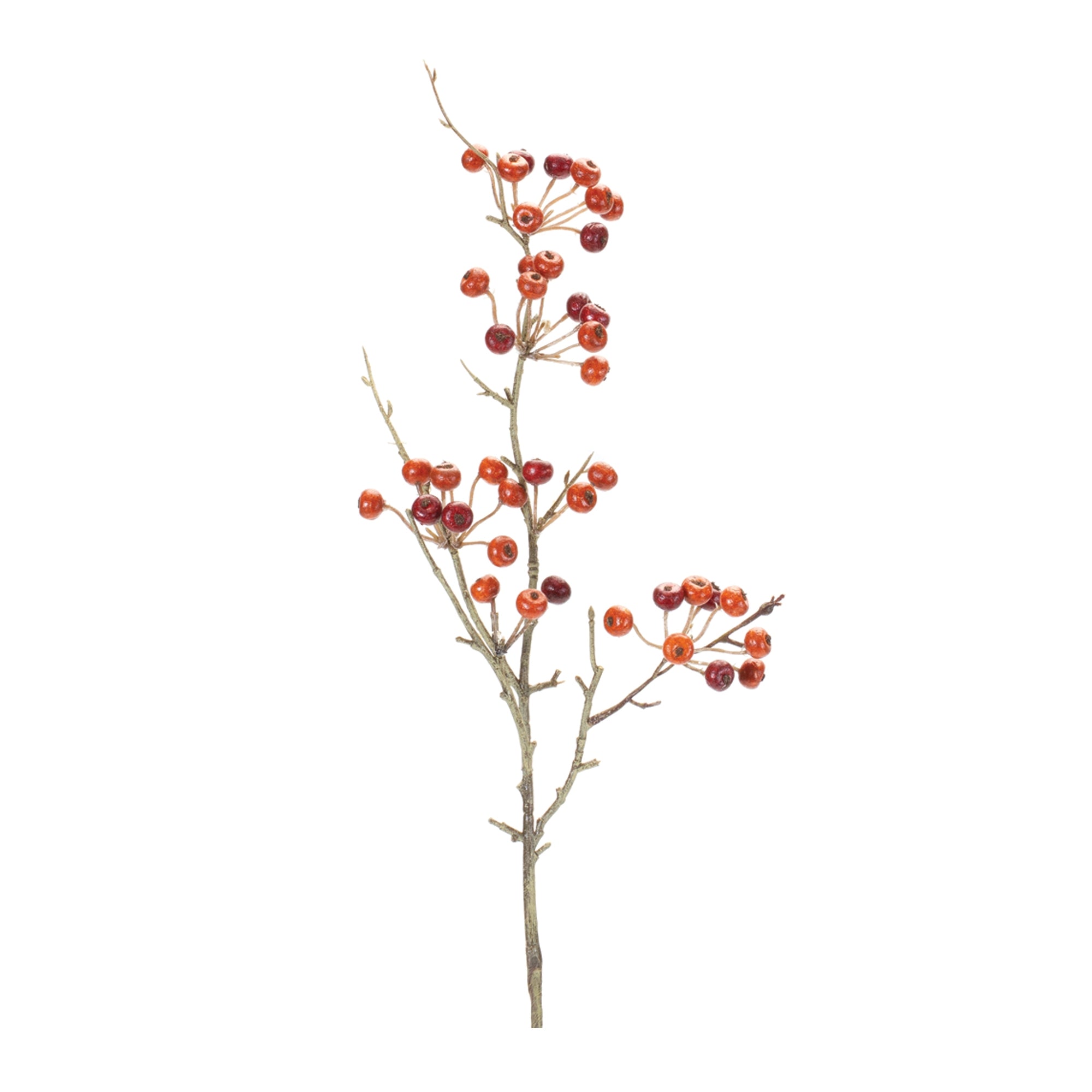 Berry Pod Spray (Set of 6) 26H Foam/Plastic