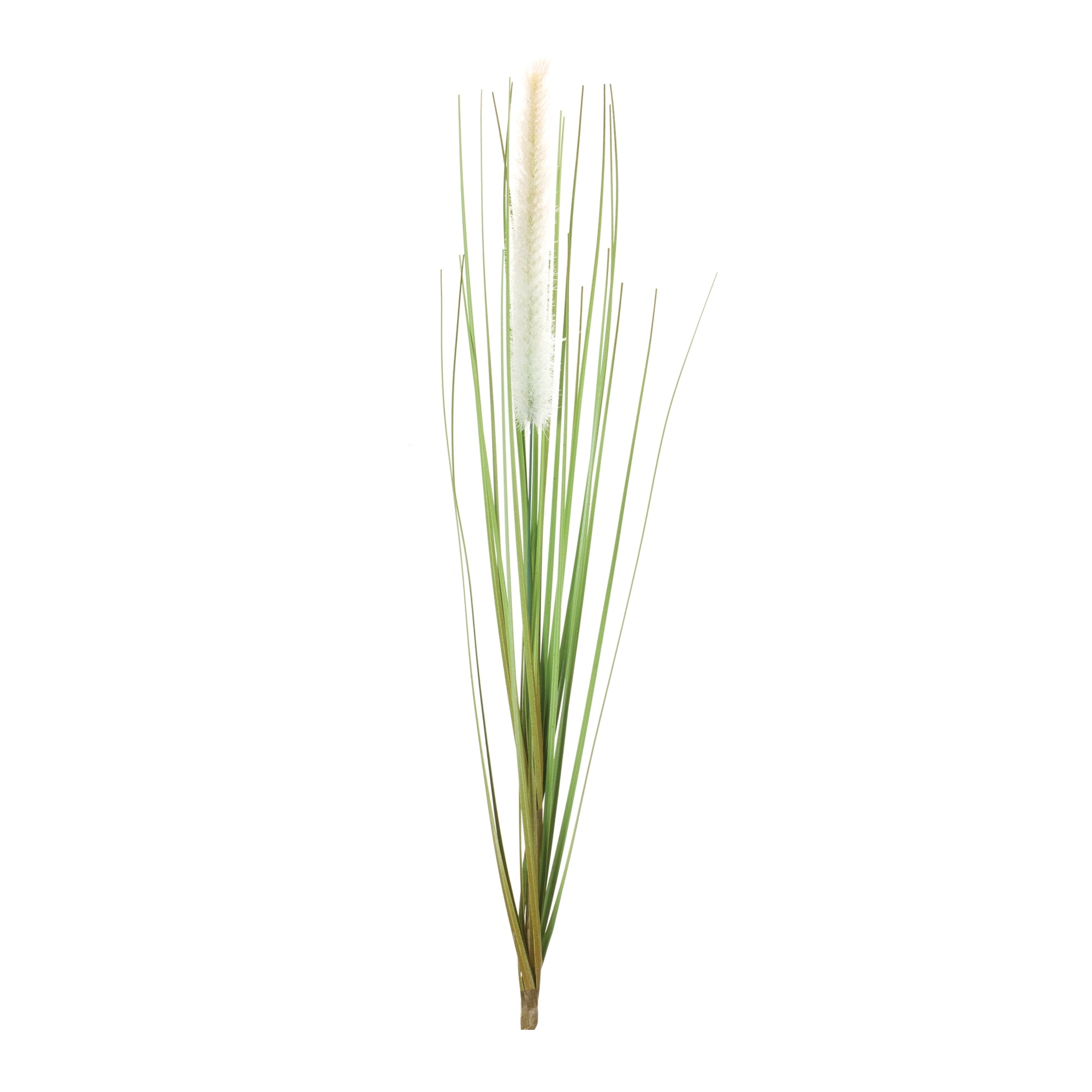 Foxtail Bush (Set of 12) 20H PVC