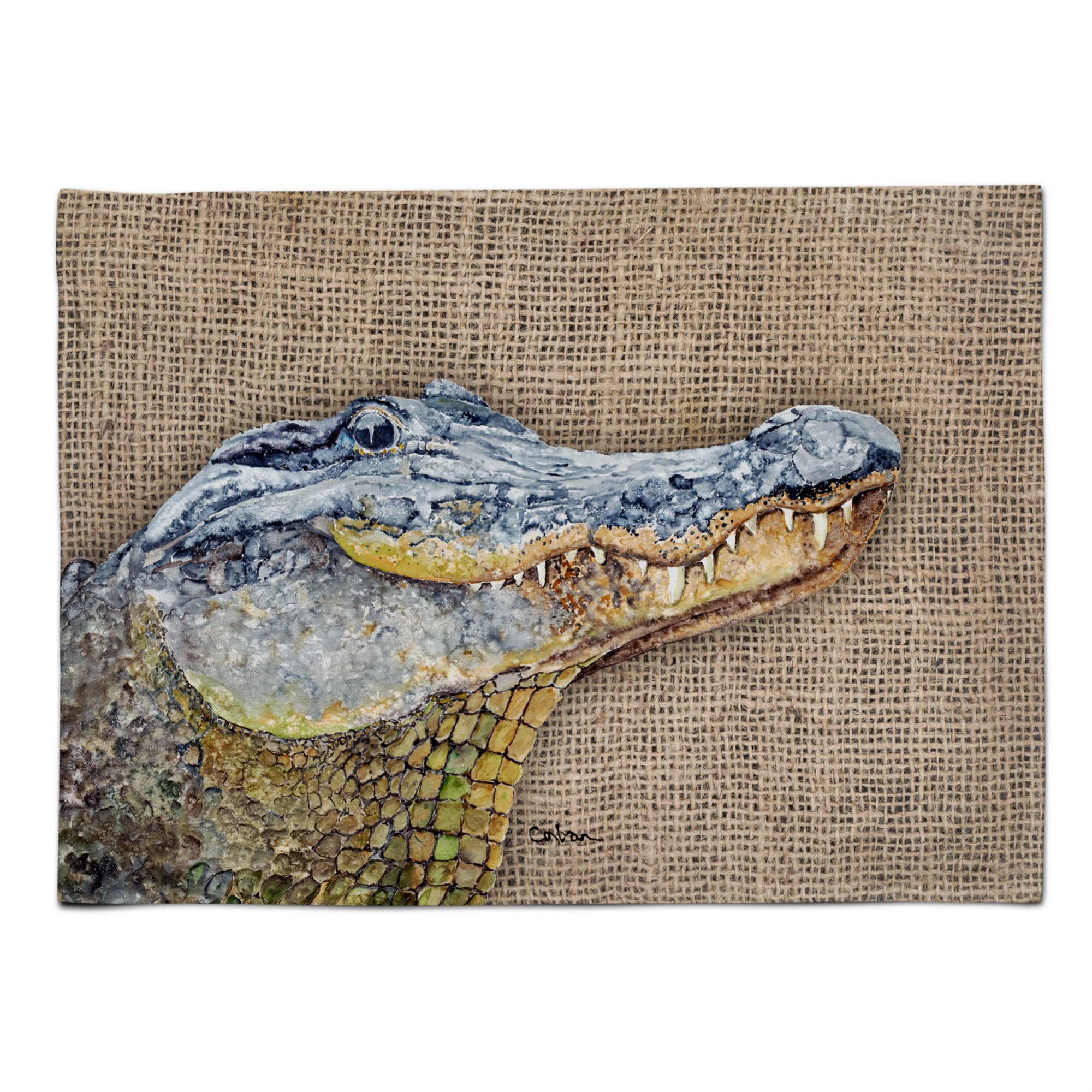 'Caroline'S Treasures 8733Plmt Alligator Fabric Placemat, Multicolor''