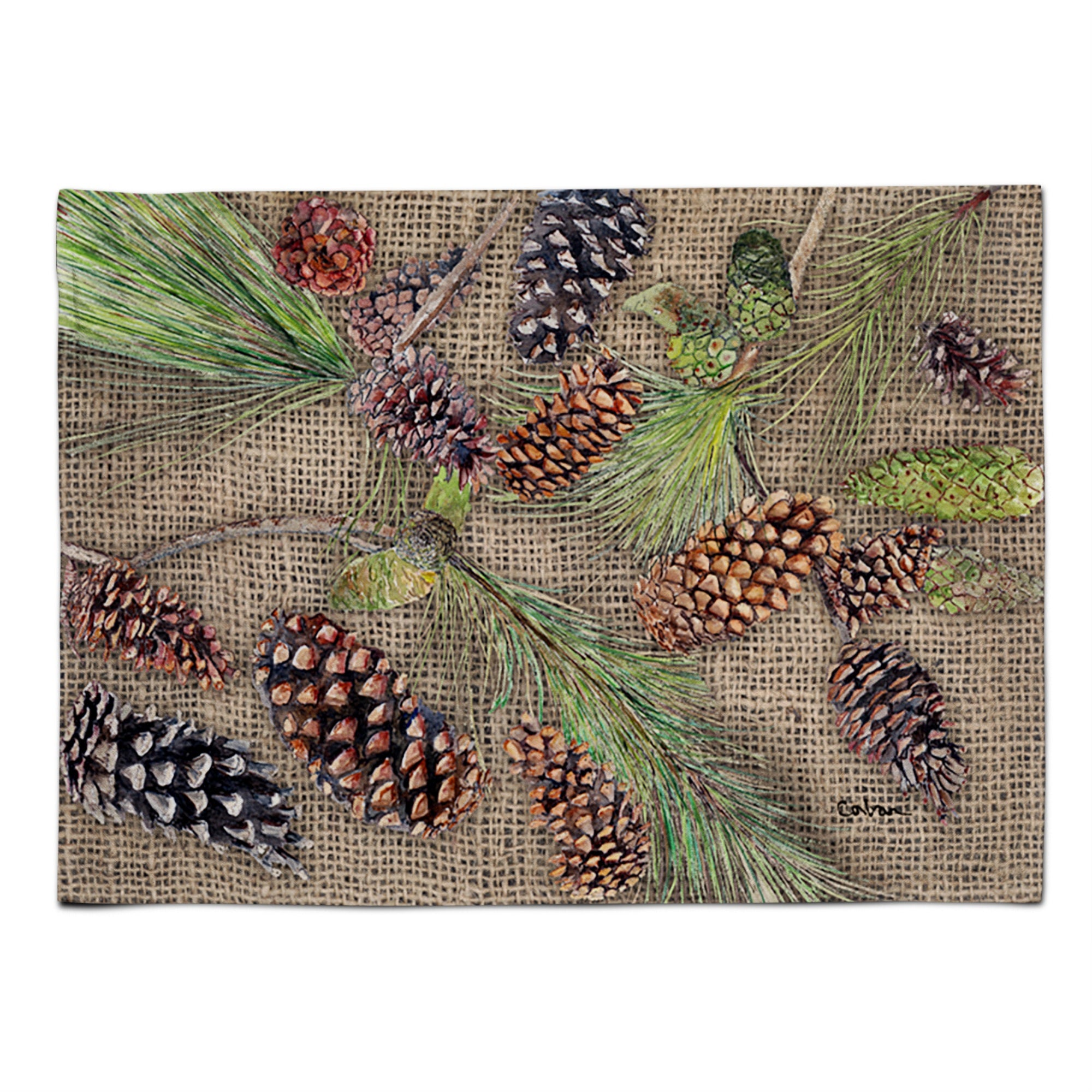 'Caroline'S Treasures 8735Plmt Pine Cones Fabric Placemat, Multicolor''