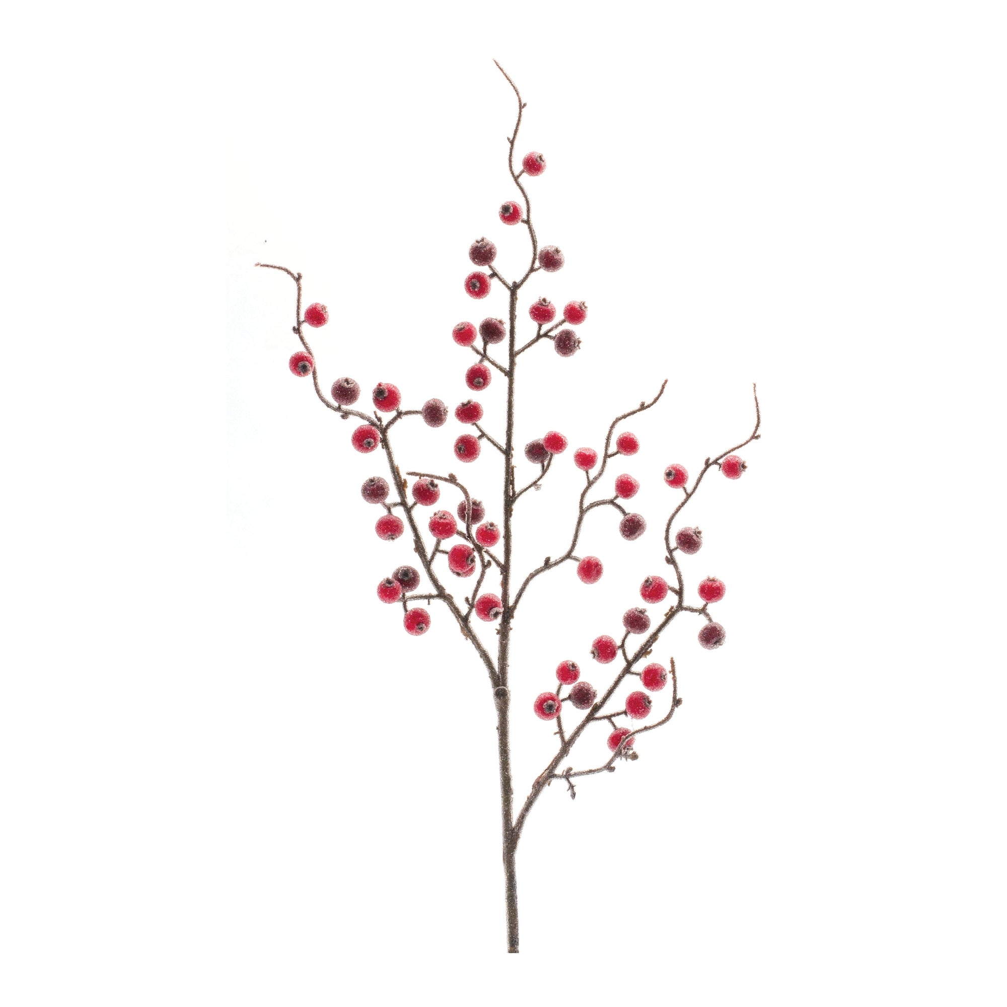 Iced Berry Spray (Set of 12) 27H Foam