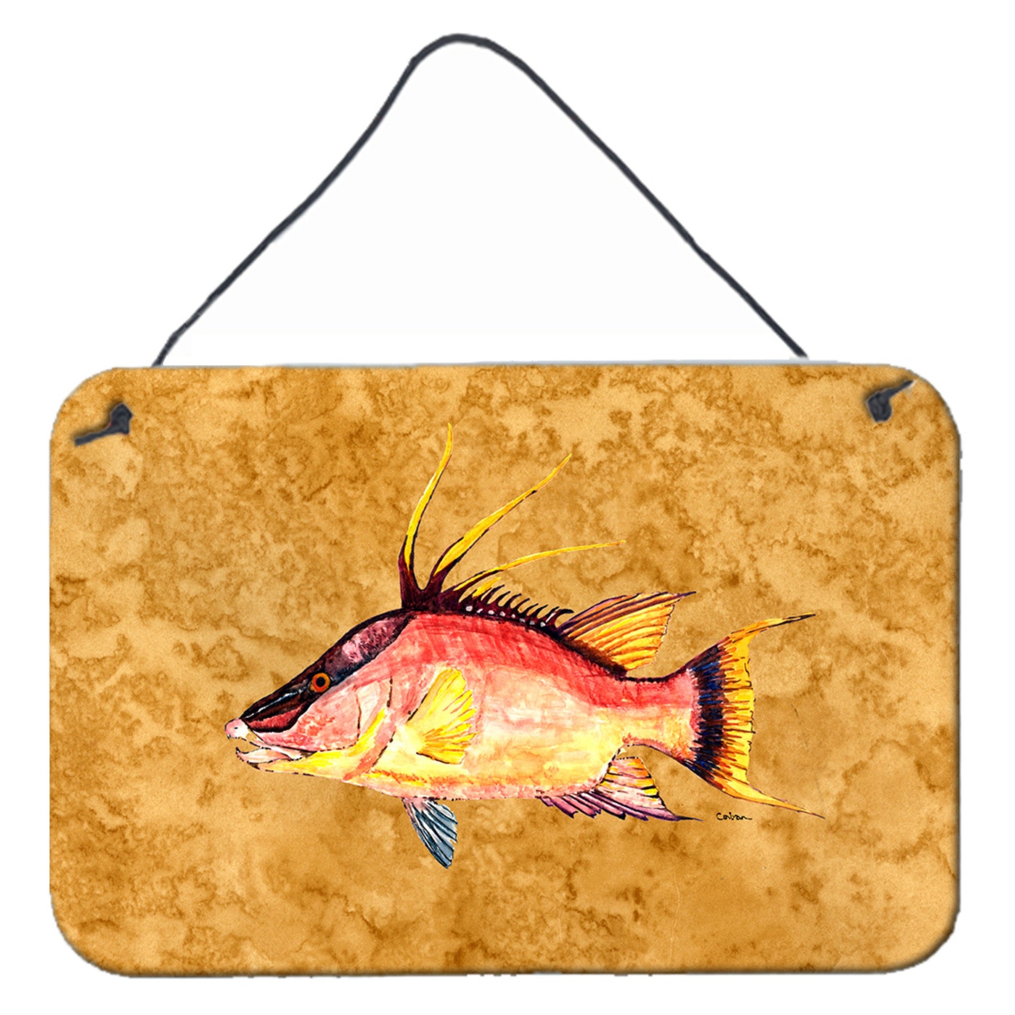 'Caroline'S Treasures 8751Ds812 Hog Snapper On Gold Wall Or Door Hanging Prints, 8 X 12'''', Multicolor''
