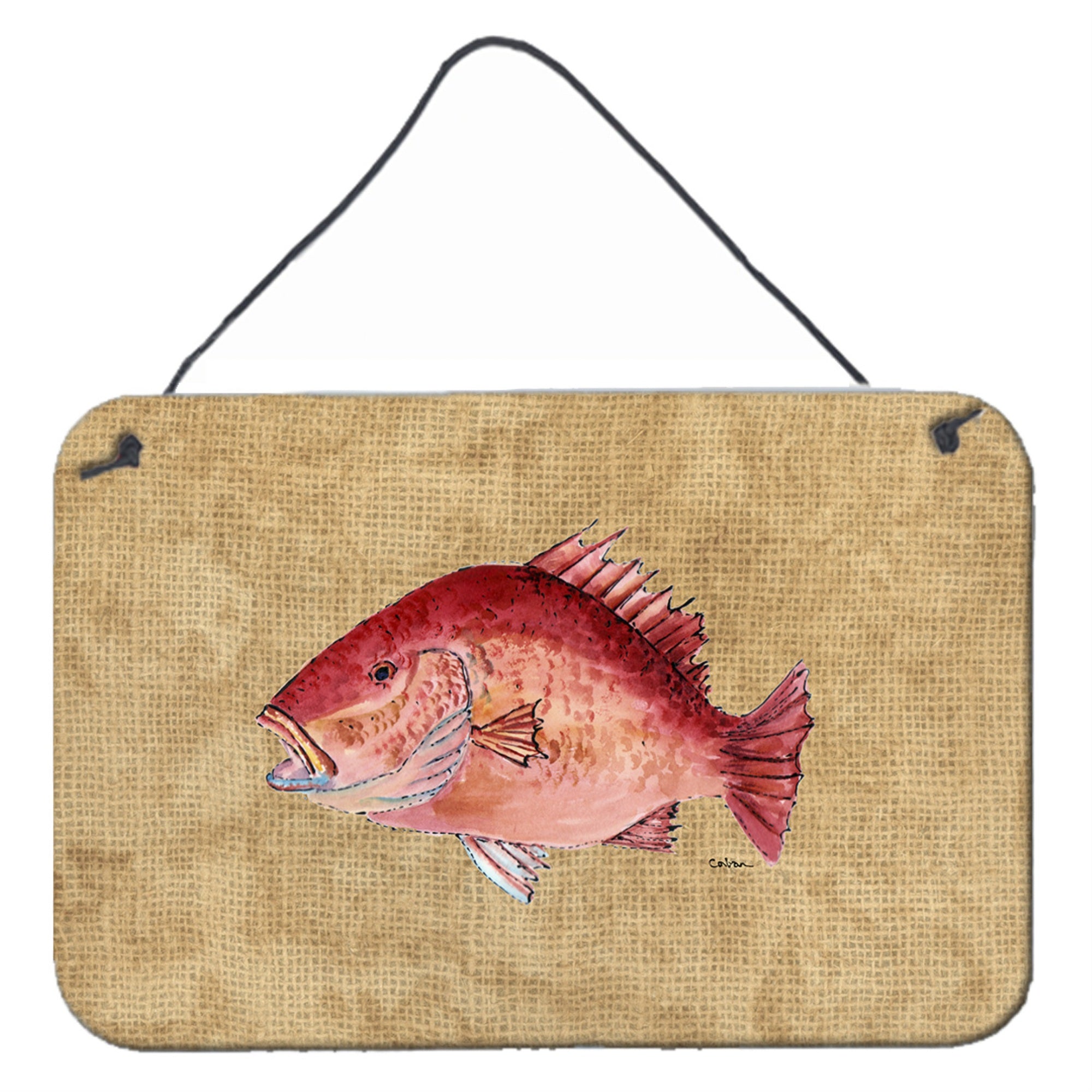 'Caroline'S Treasures 8812Ds812 Strawberry Snapper Aluminum Metal Wall Or Door Hanging Prints, 8 X 12''''''