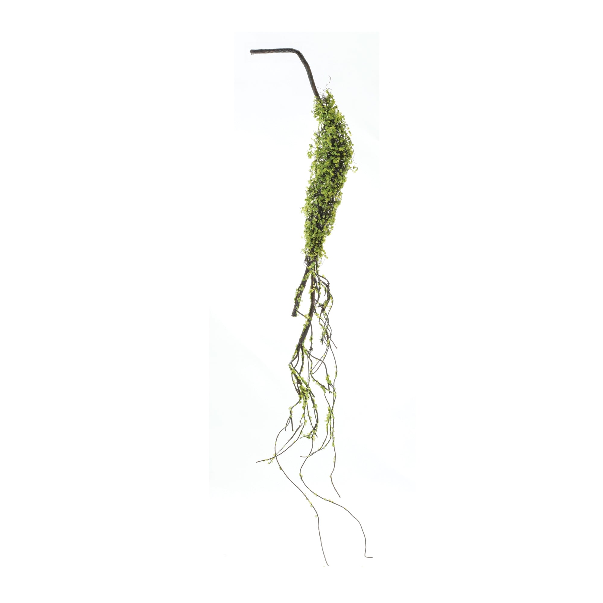 Foliage Vine (Set of 2) 40L Plastic