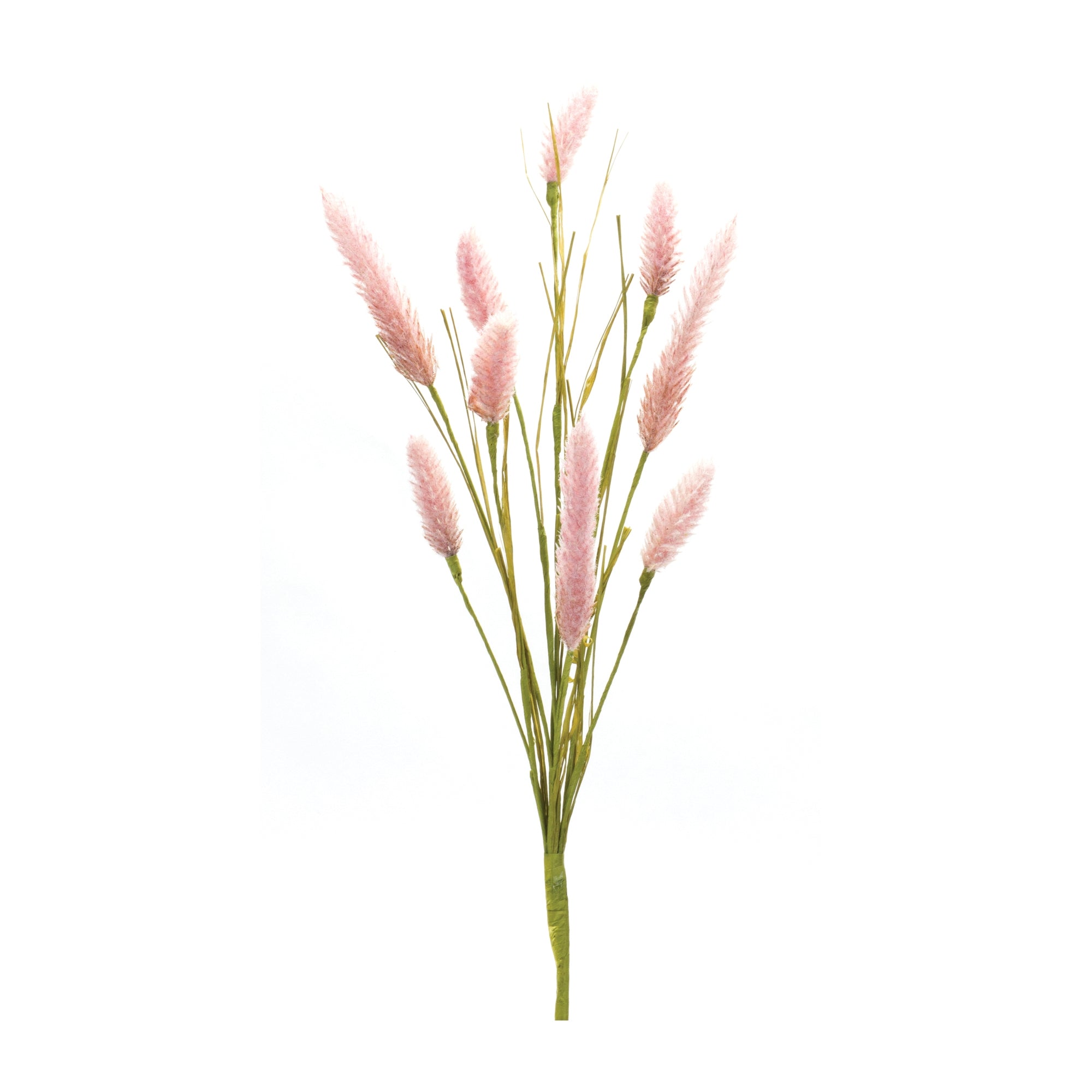 Foxtail Spray (Set of 6) 21.25H Plastic