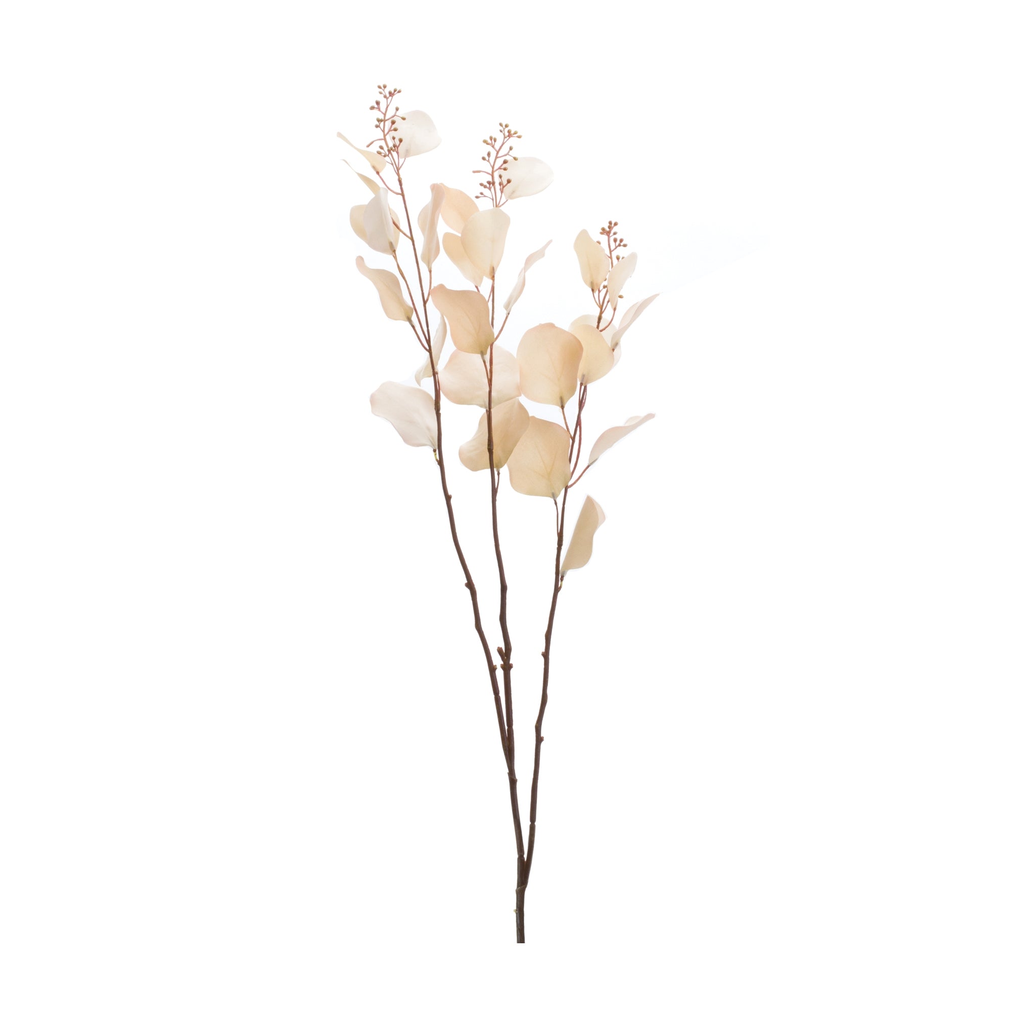 Eucalyptus Stem (Set of 2) 38H Polyester