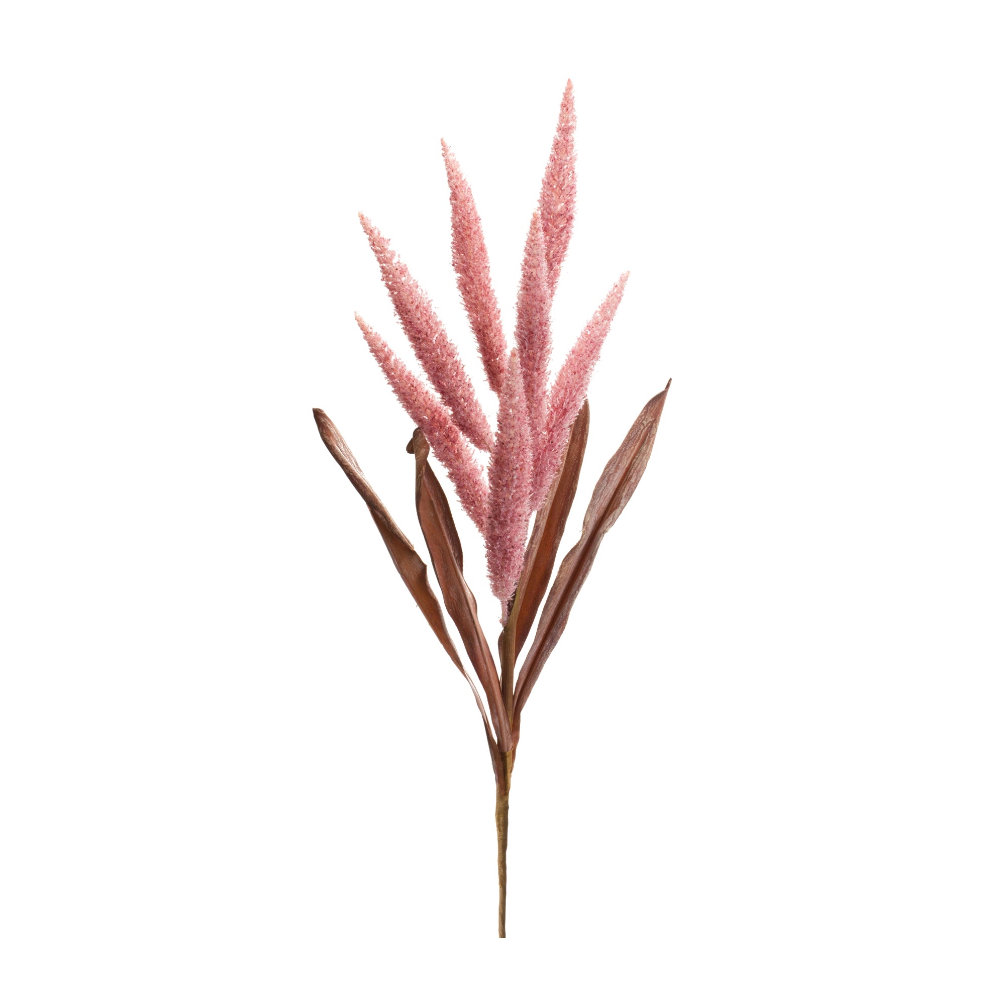 Foxtail Stem (Set of 2) 35.5H Polyester