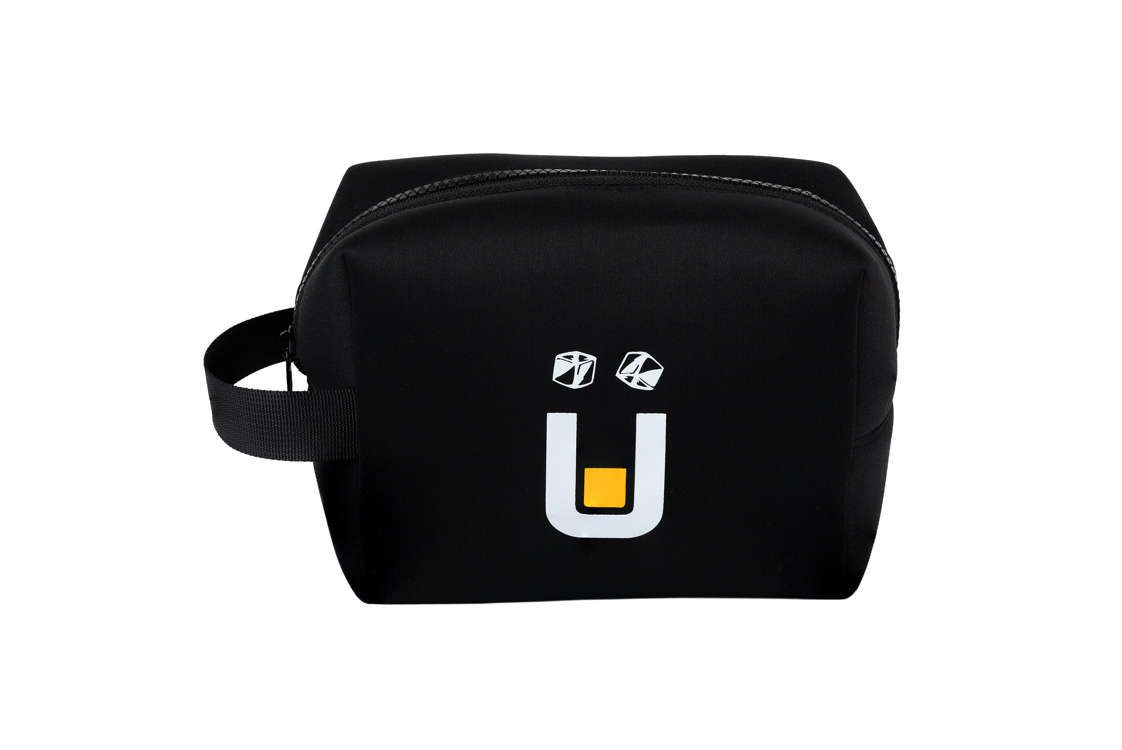 Head Unit Carry Case