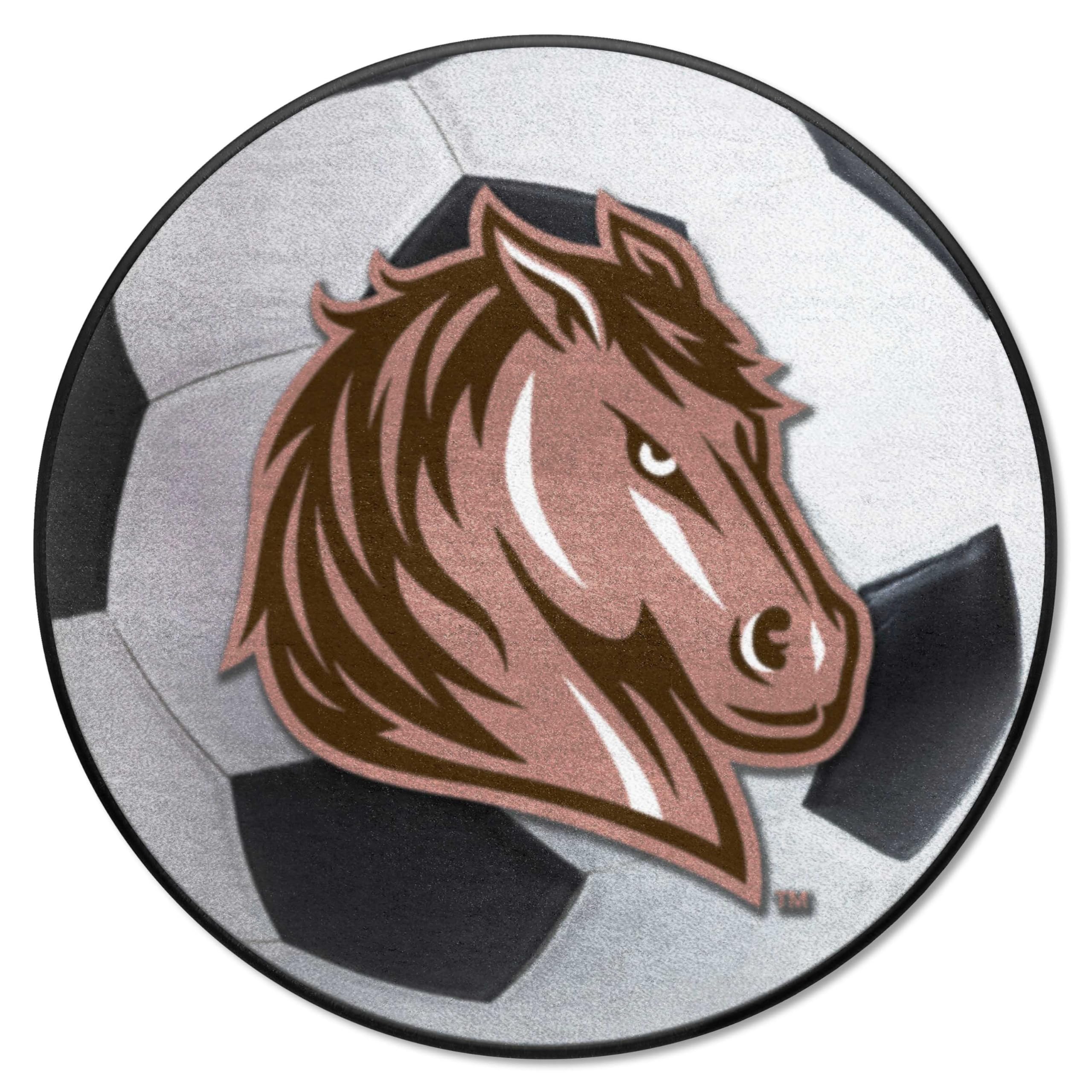 FANMATS 14085 Southwest Minnesota State Mustangs Soccer Ball Rug - 27in. Diameter