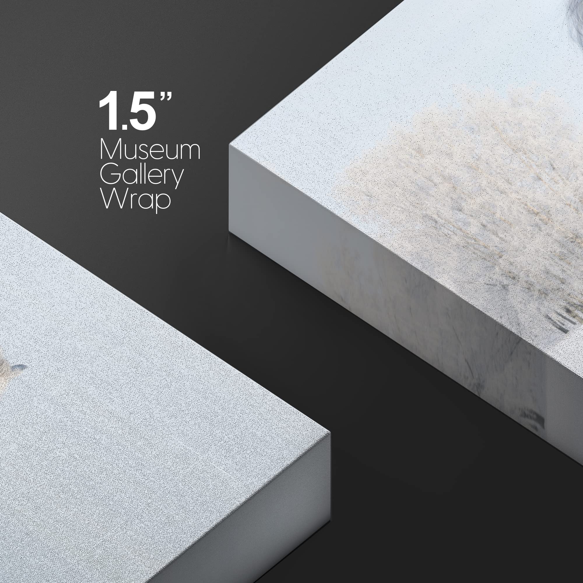 Wall26 Canvas Print Wall Art Duo Of White Stallion In Snowy Winter Forest Field Animals Wildlife Photography Realism Rustic Scen