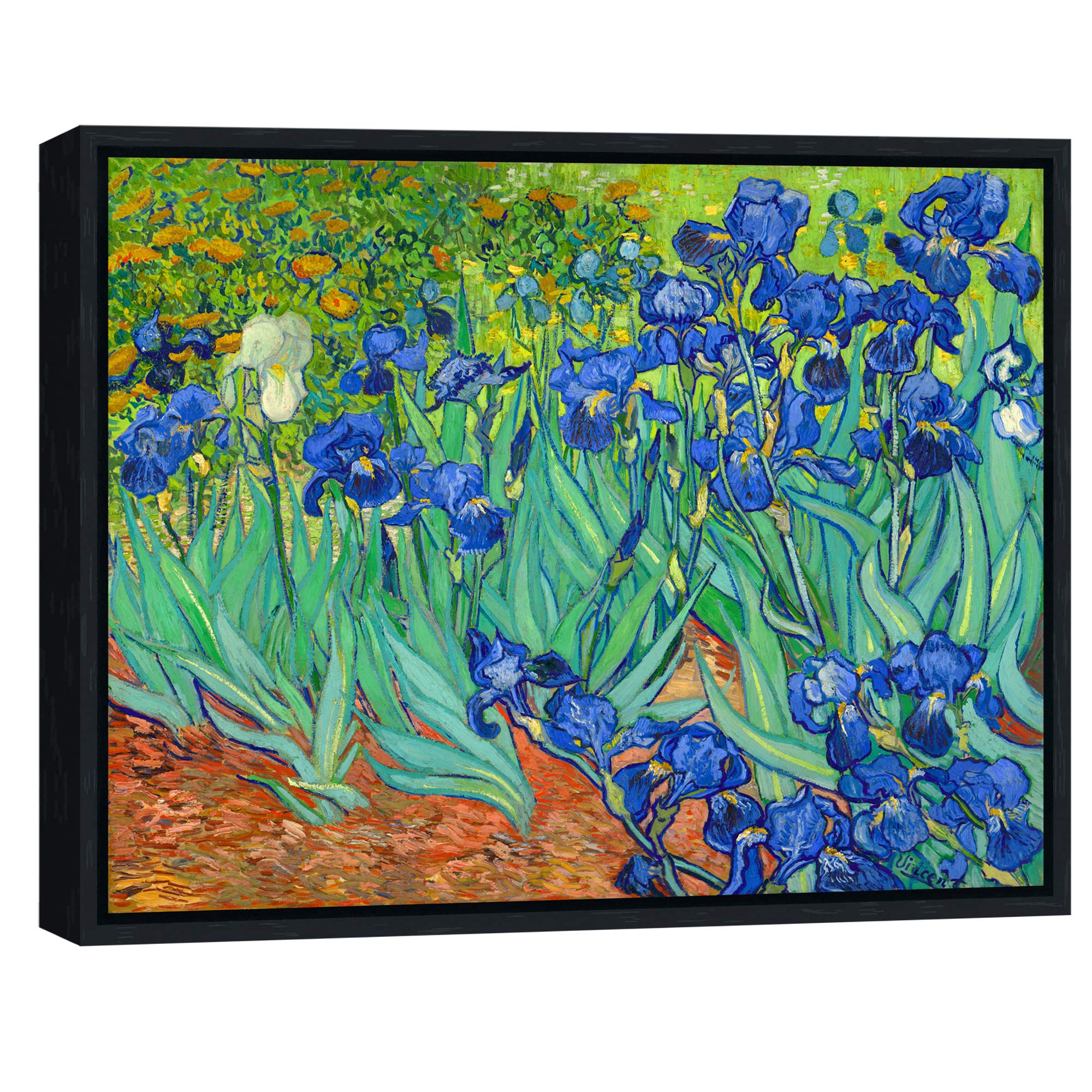Wieco Art Framed Wall Art Canvas Prints Irises By Van Gogh Famous Flowers Oil Paintings Reproduction Modern Giclee Canvas Prints