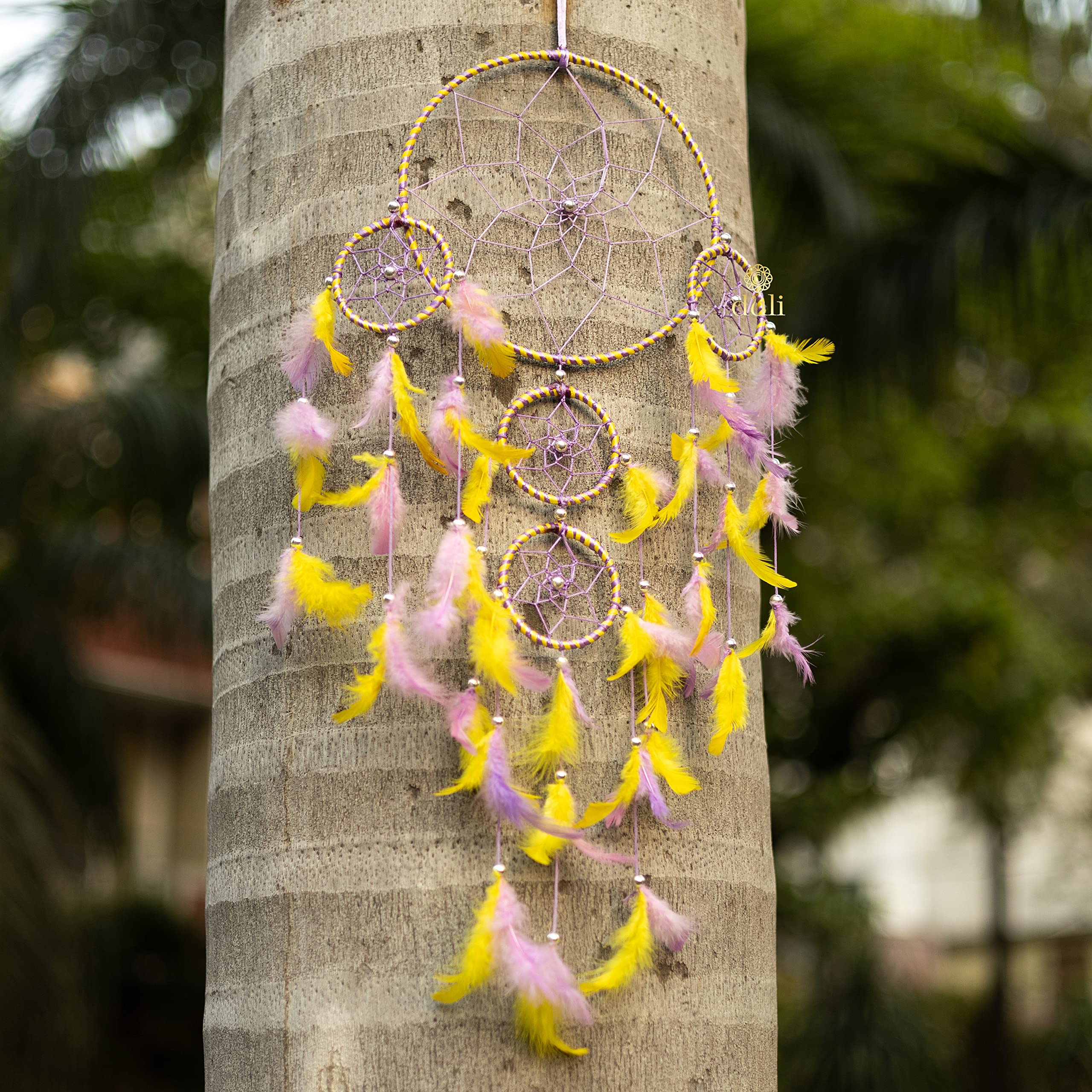 DULI Dream Catcher Wall Hanging for Bedrooms, Living Room, Home Decor Wall Hanging Design, Garden, Restaurants, Cafe, & Party, D