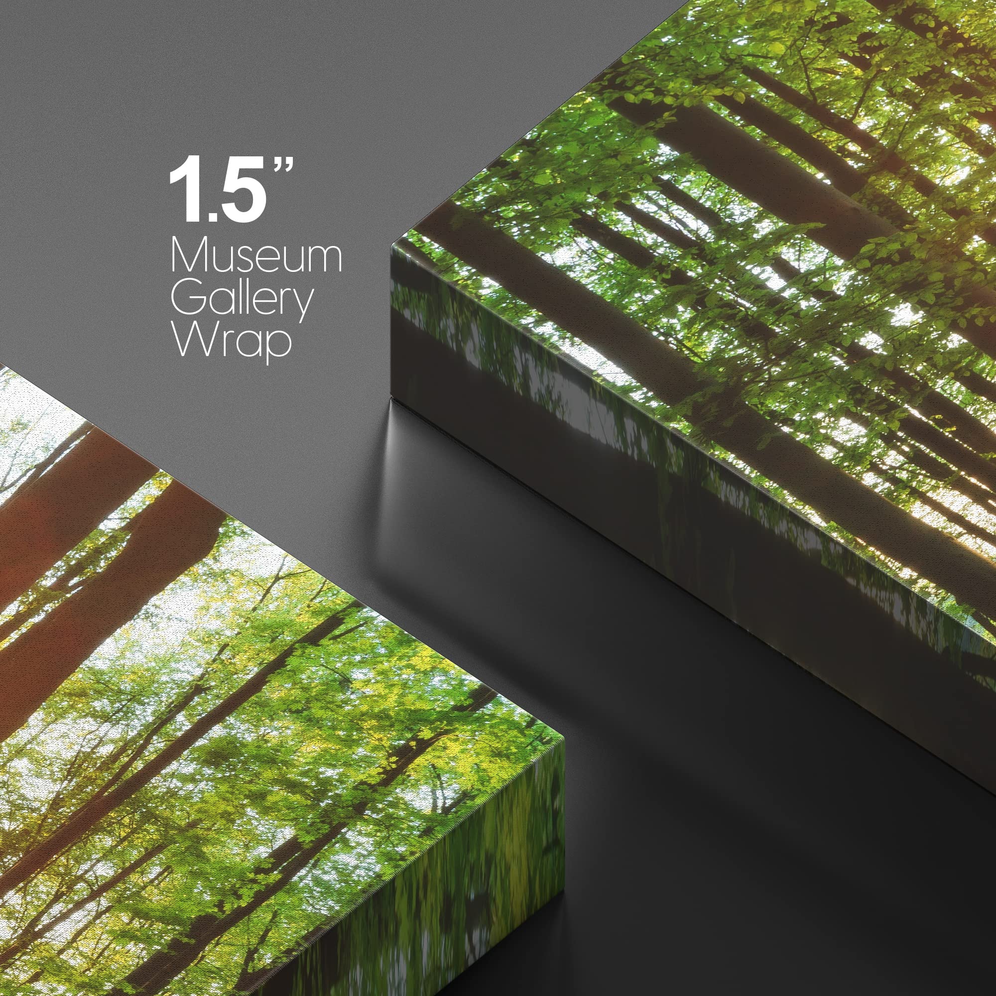 Wall26 Canvas Print Wall Art Sunrise Over The Green Forest Nature Wilderness Photography Modern Art Rustic Scenic Colorful Multi