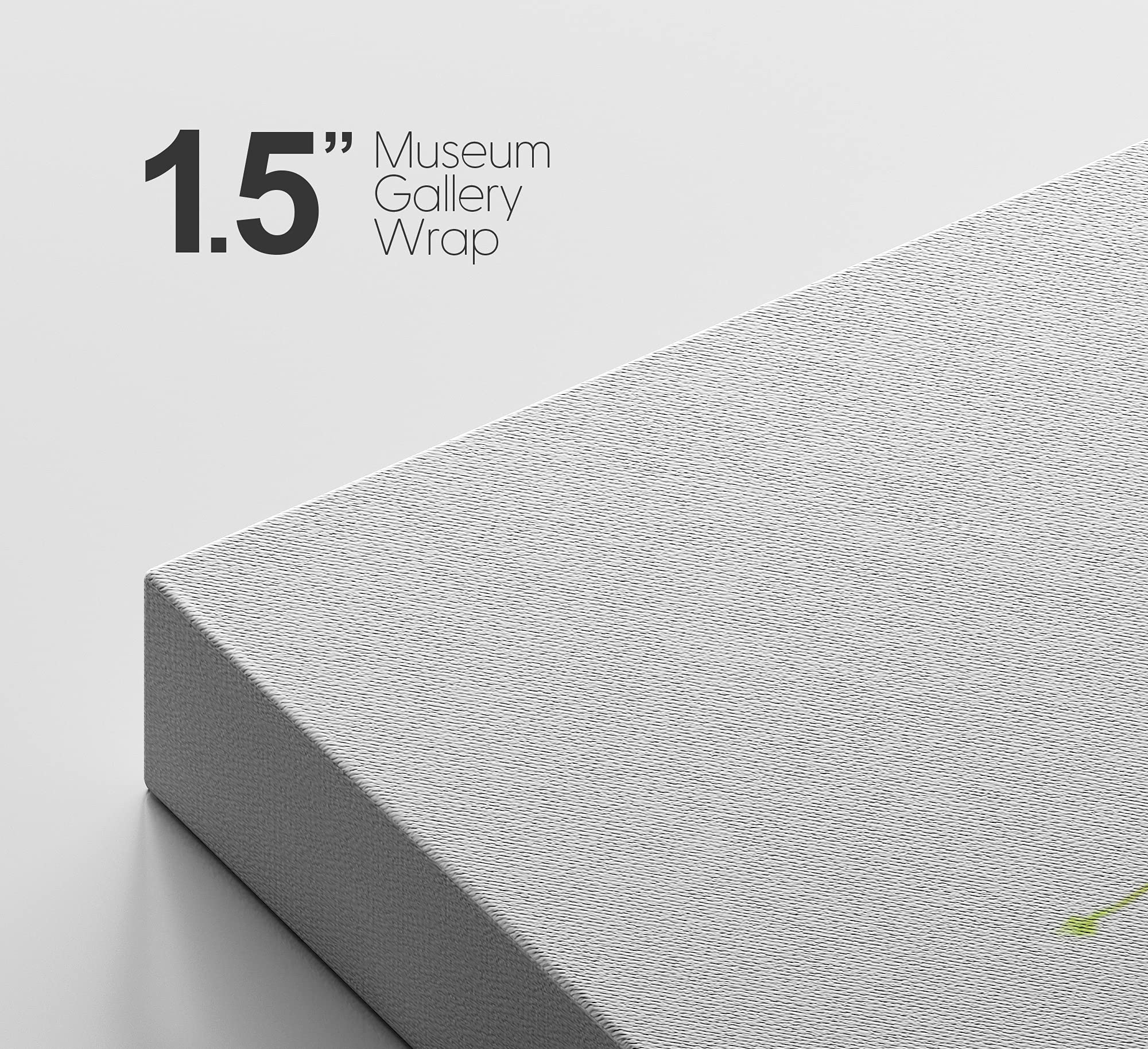 Signford Canvas Print Wall Art Green Zebra Succulent In White Vase Floral Plants Photography Realism Southwest Relax/Calm Multic