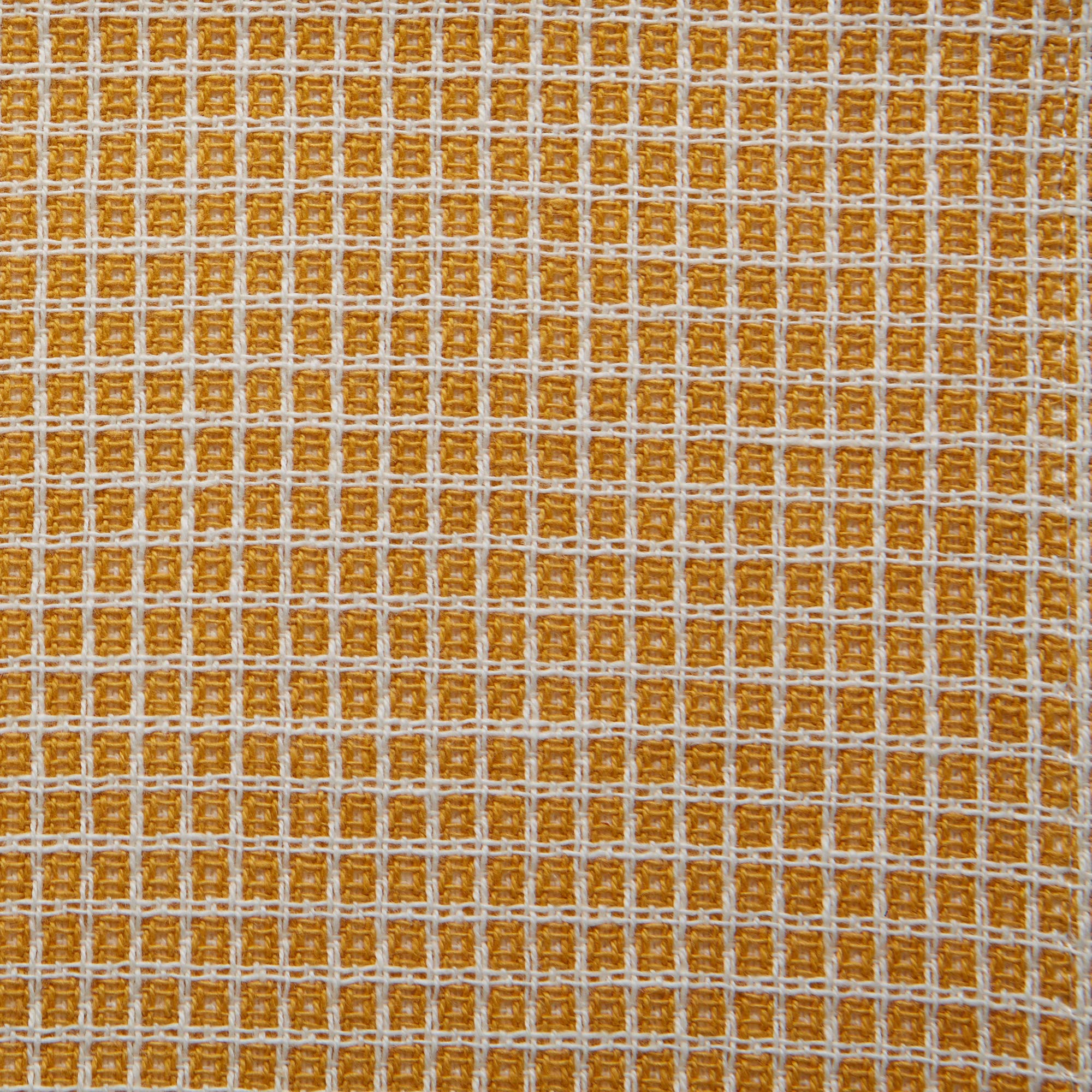 DII Asst Honey Gold Dishcloth (Set of 5)