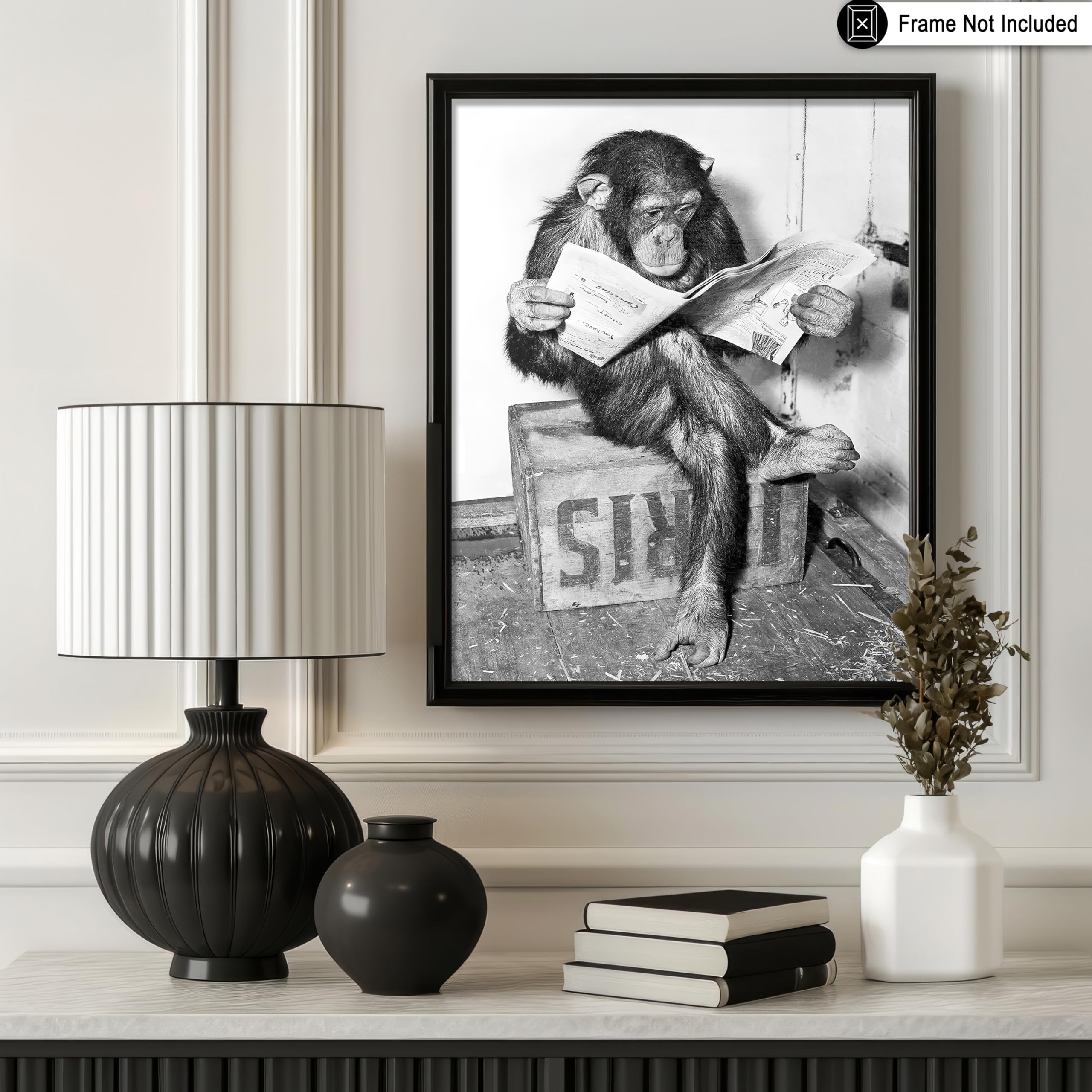 Poster Master Vintage Photograph Poster - Retro Funny Print - Gift for Artist, Friend - Chimpanzee Reading Newspaper, Monkey, Ch