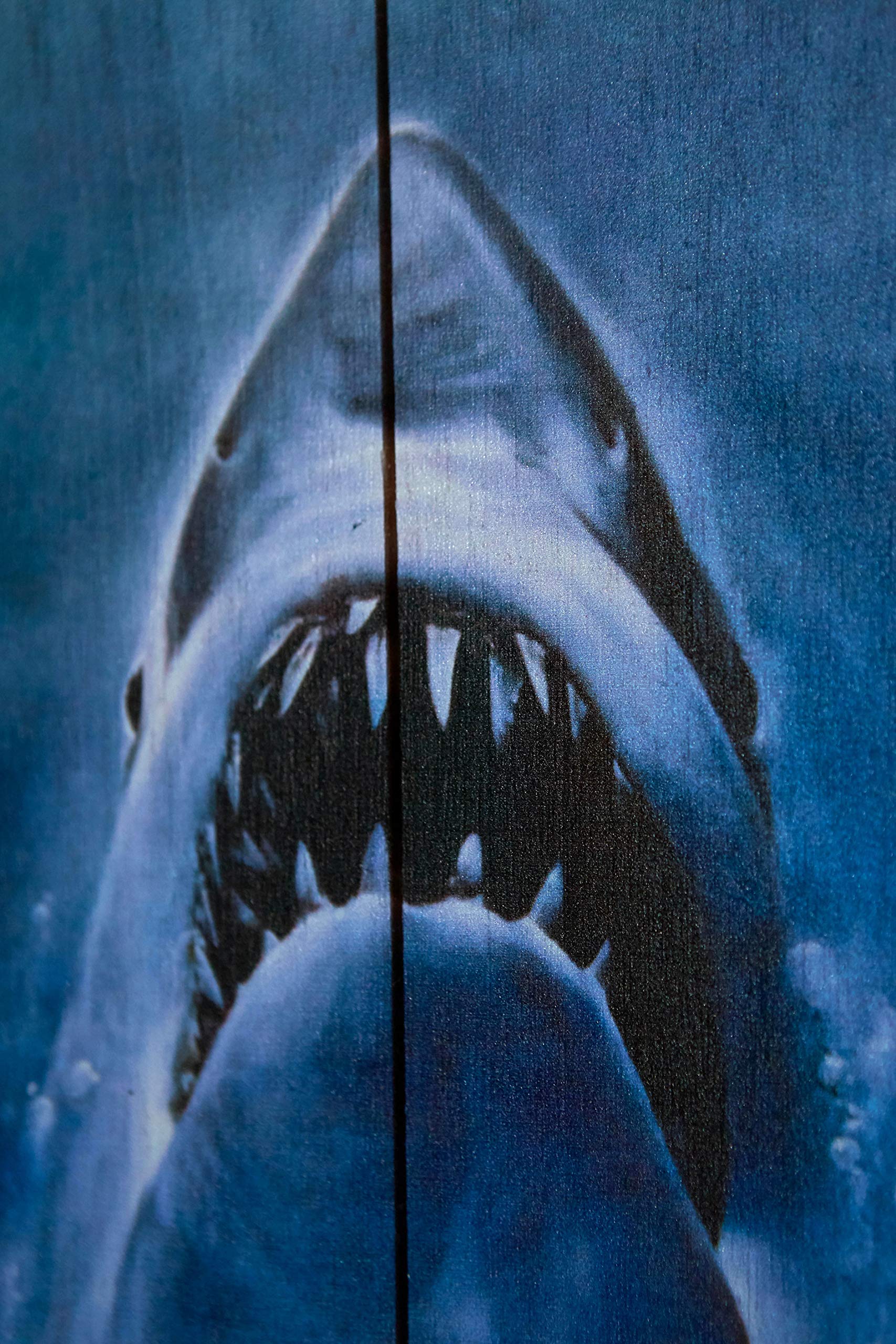 Doctor Collector Dcjaws03 Jaws Summer Of '75 Woodarts 3D Print,16 X 12 Inches