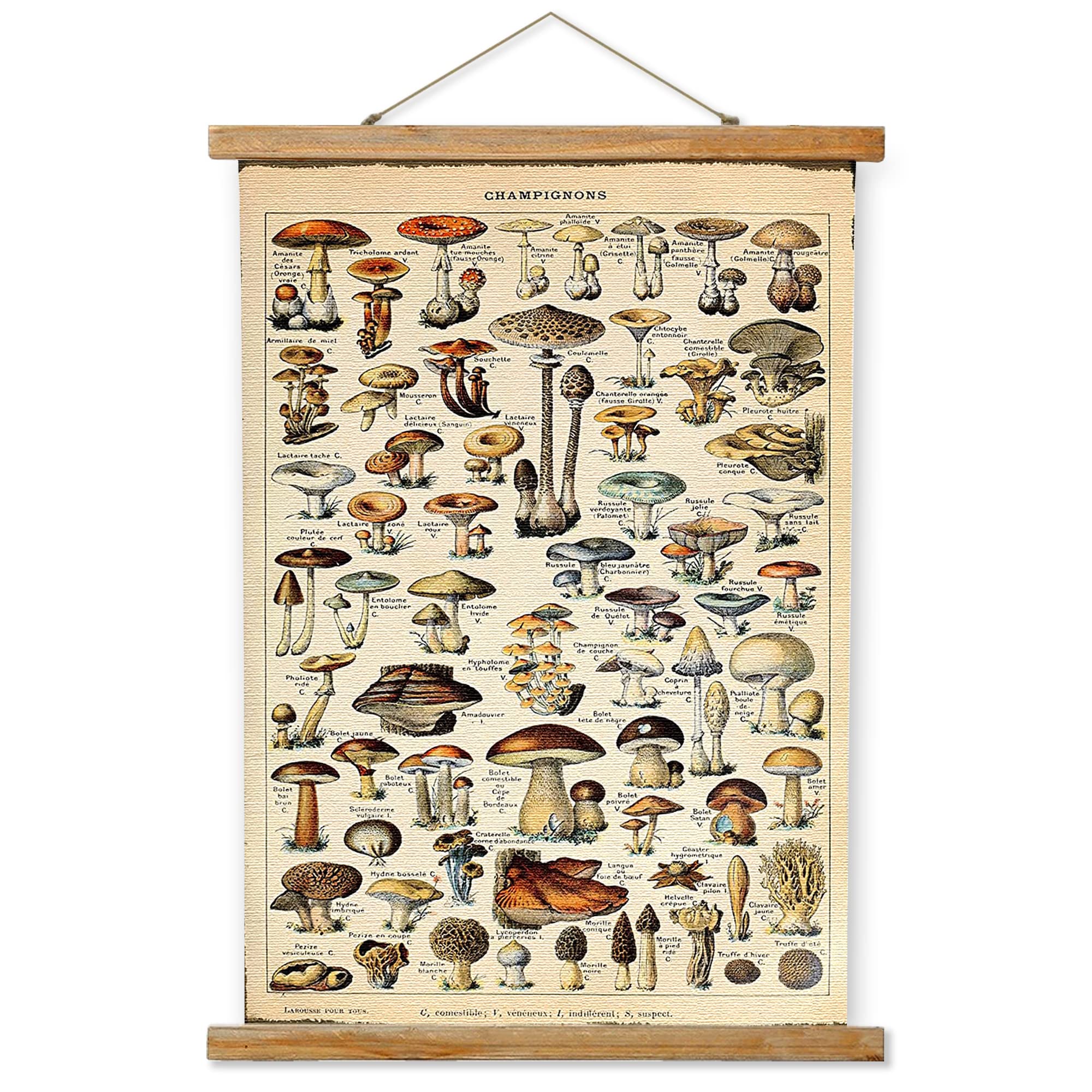 Ovfovy Vintage Mushroom Poster Hanger Frame, Retro Style Wall Art Prints, Printed On Linen With Natural Wooden Frames, Wall Hang