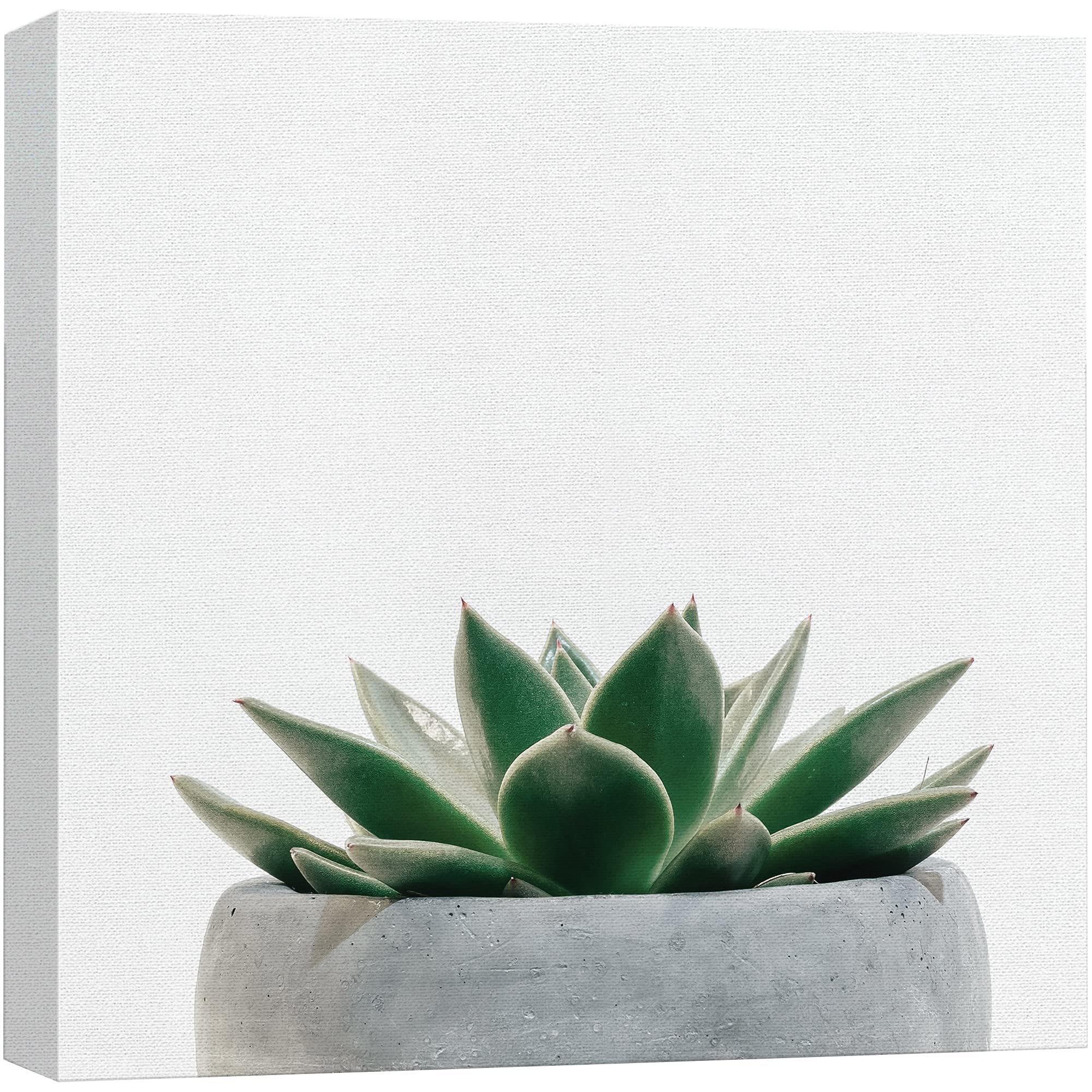 Wall26 Canvas Print Wall Art Green Succulent In Gray Pot Nature Wilderness Photography Realism Chic Scenic Relax/Calm Multicolor