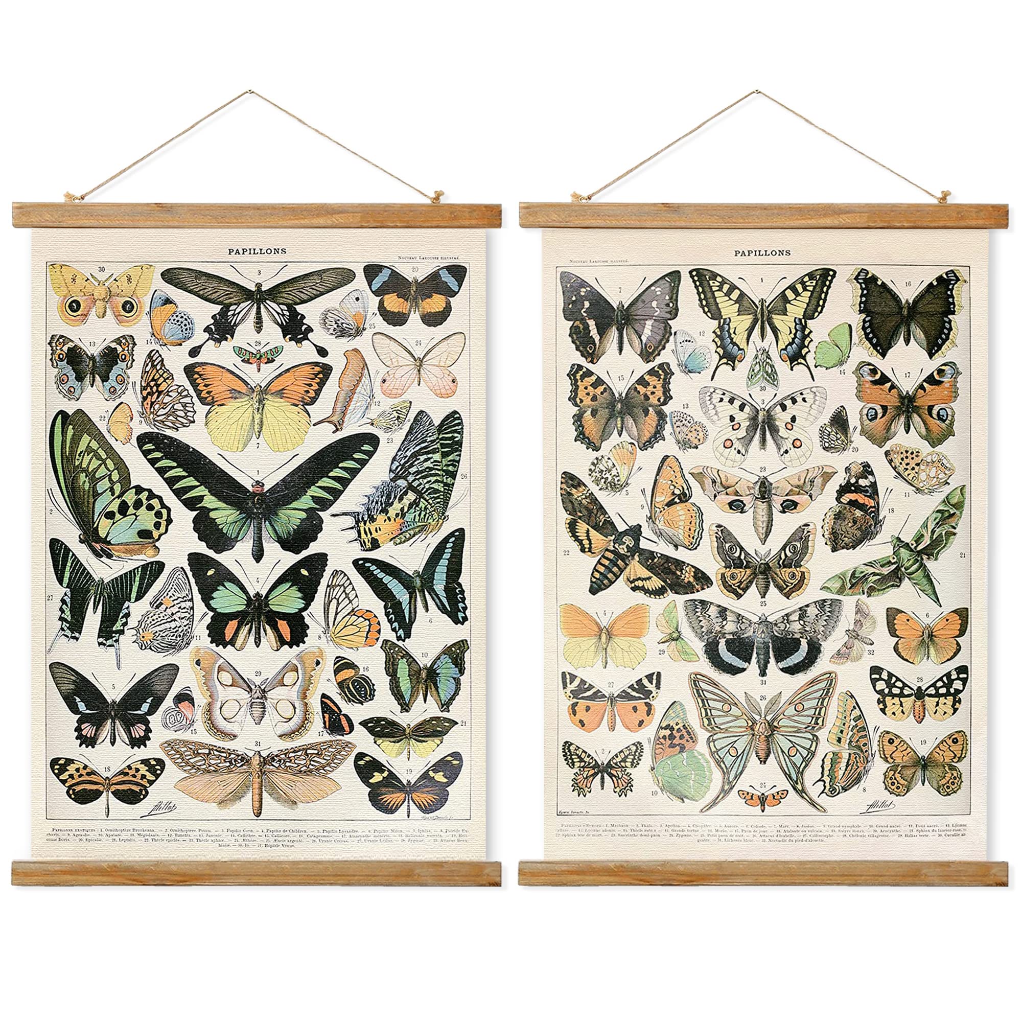 Ovfovy 2 Pack Vintage Butterflies Poster, Rustic Room Aesthetic, Retro Wall Art Prints Without Fading, Printed On Linen With Woo