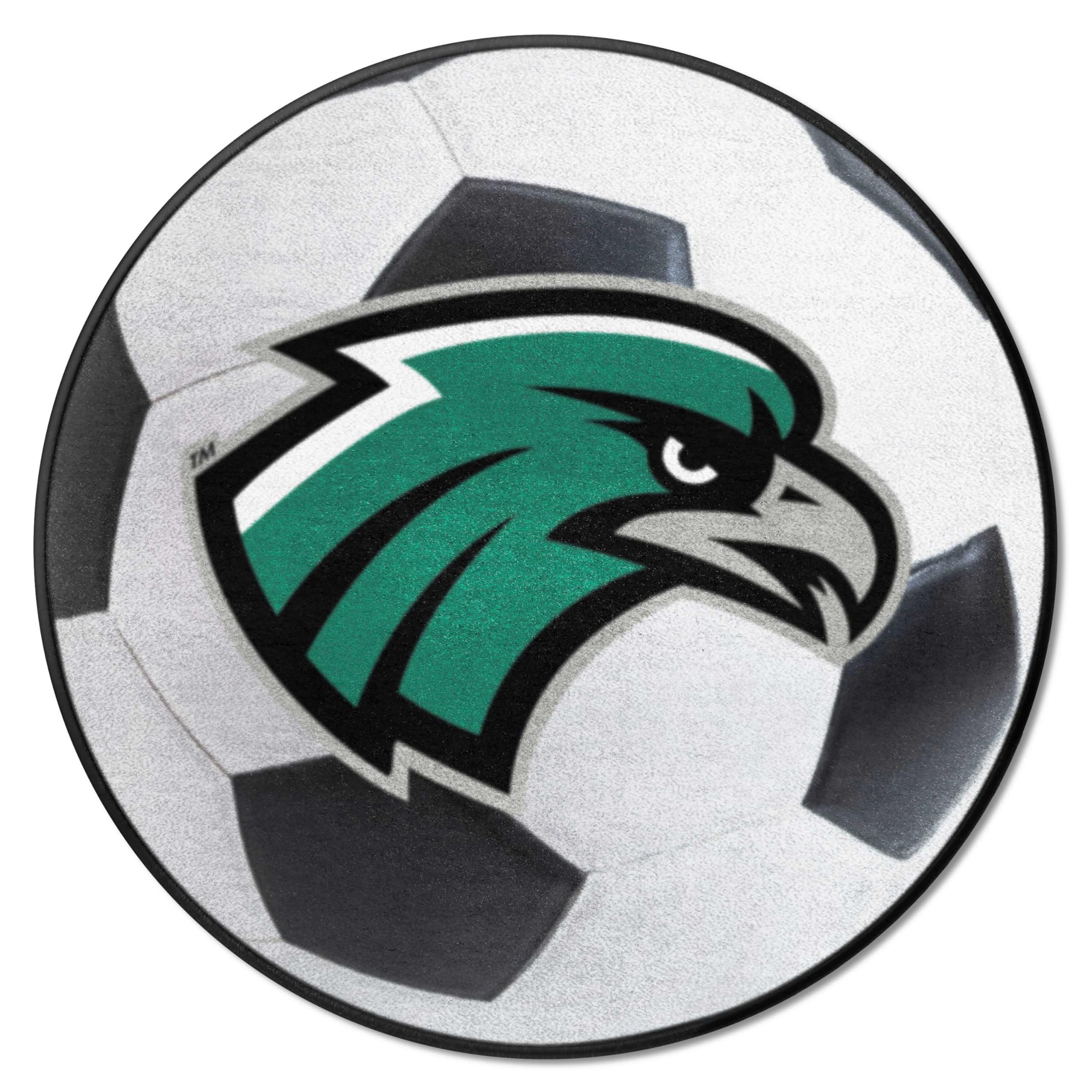 FANMATS 14111 Northeastern State Riverhawks Soccer Ball Rug - 27in. Diameter