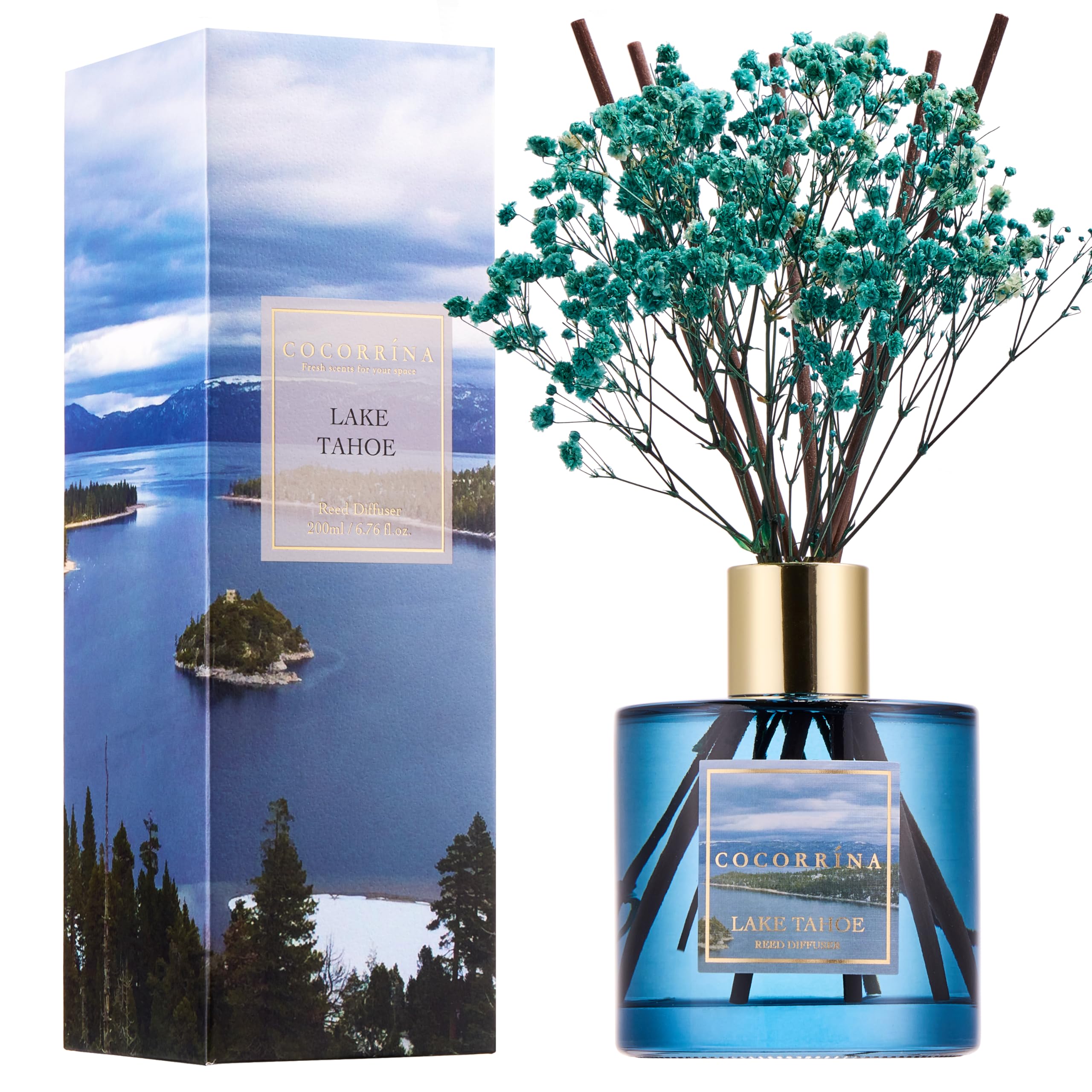 COCORR  NA Reed Diffuser - Lake Tahoe 6.7 Fl.oz Reed Diffuser Set with 8 Sticks & Preserved Babys Breath, Reed Diffuser for Hom