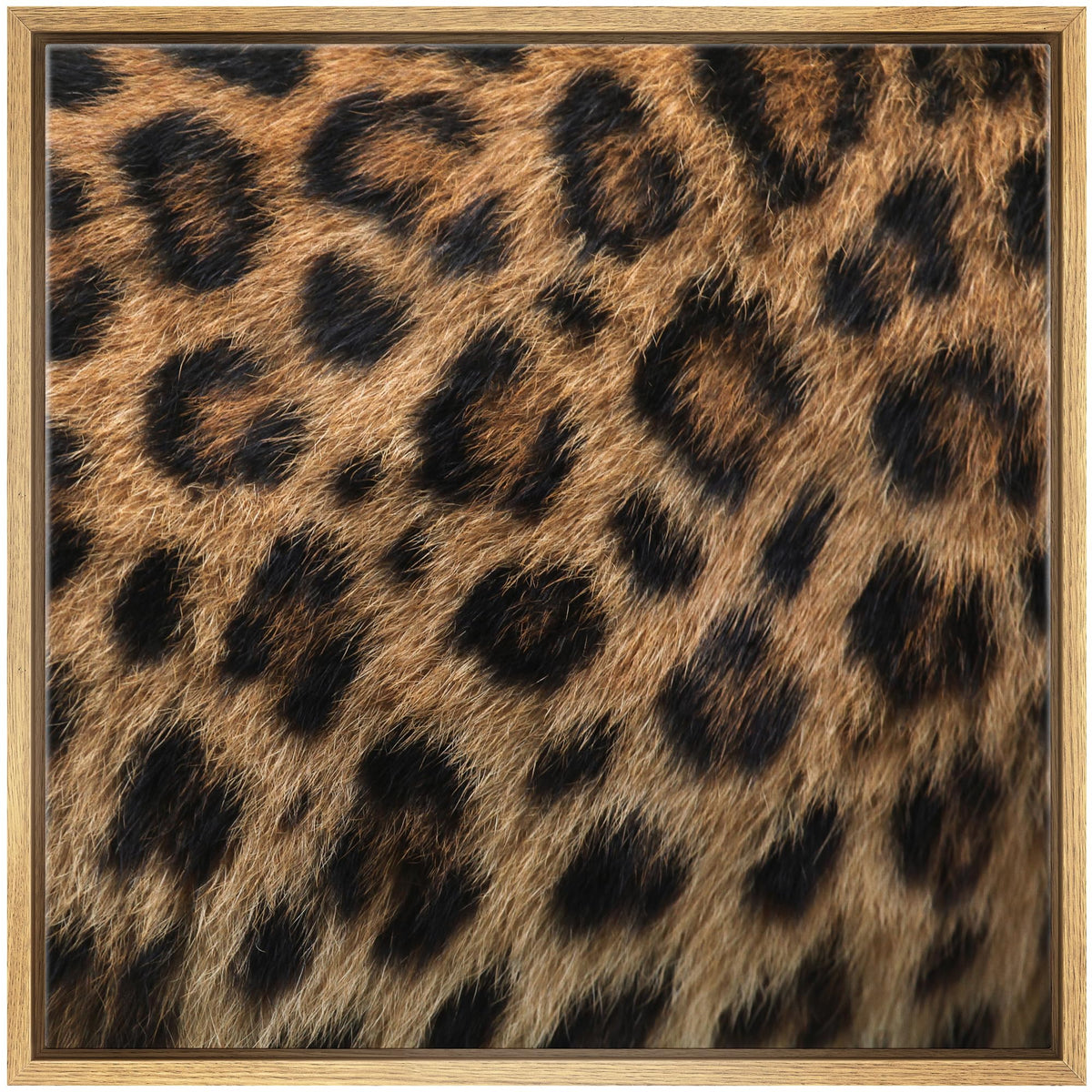 Wall26 Framed Framed Canvas Prints Wall Art Framed Framed Canvas Prints Wall Art - Leopard Fur/Skin Texture - 16''X16'' Natural