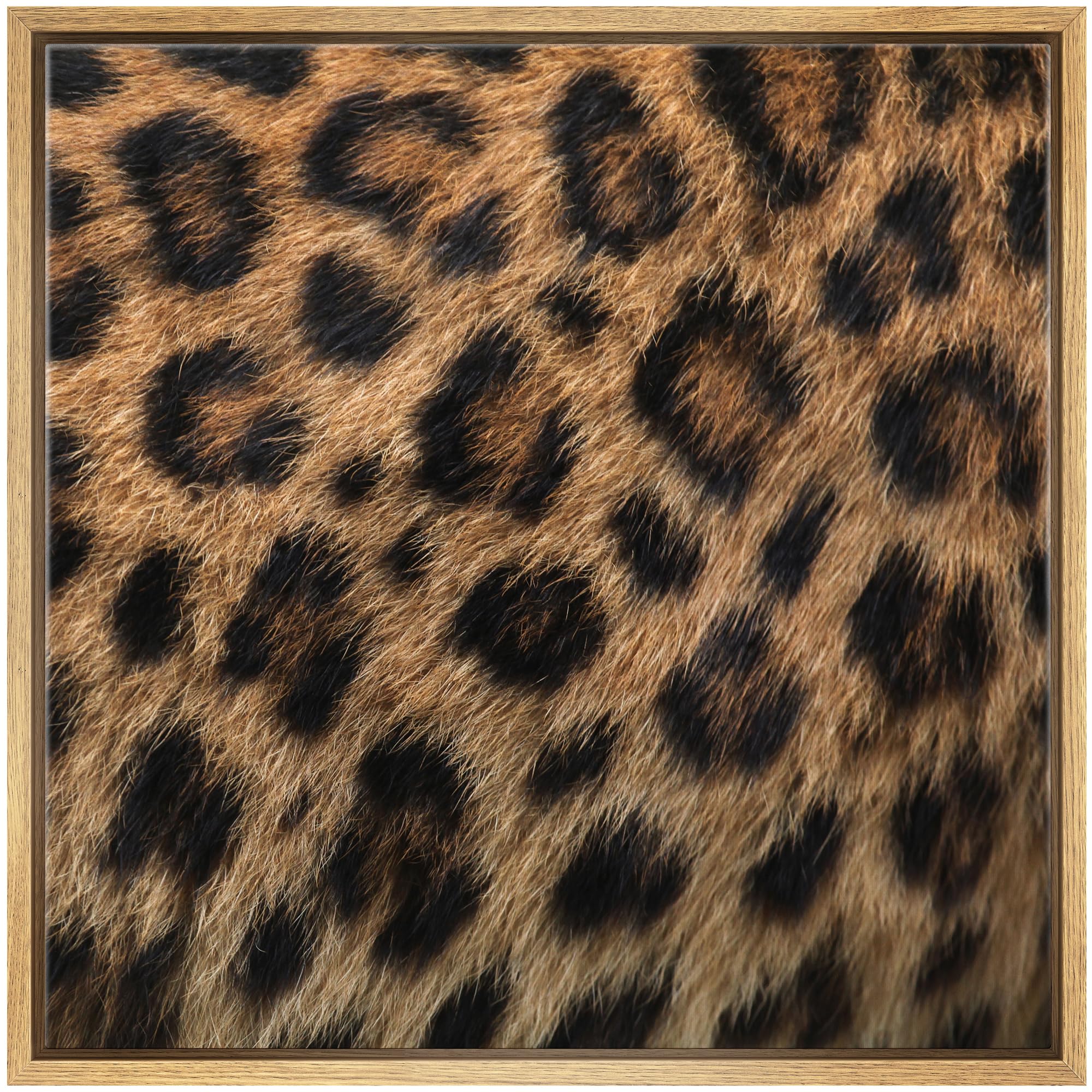 Wall26 Framed Framed Canvas Prints Wall Art Framed Framed Canvas Prints Wall Art - Leopard Fur/Skin Texture - 24''X24'' Natural