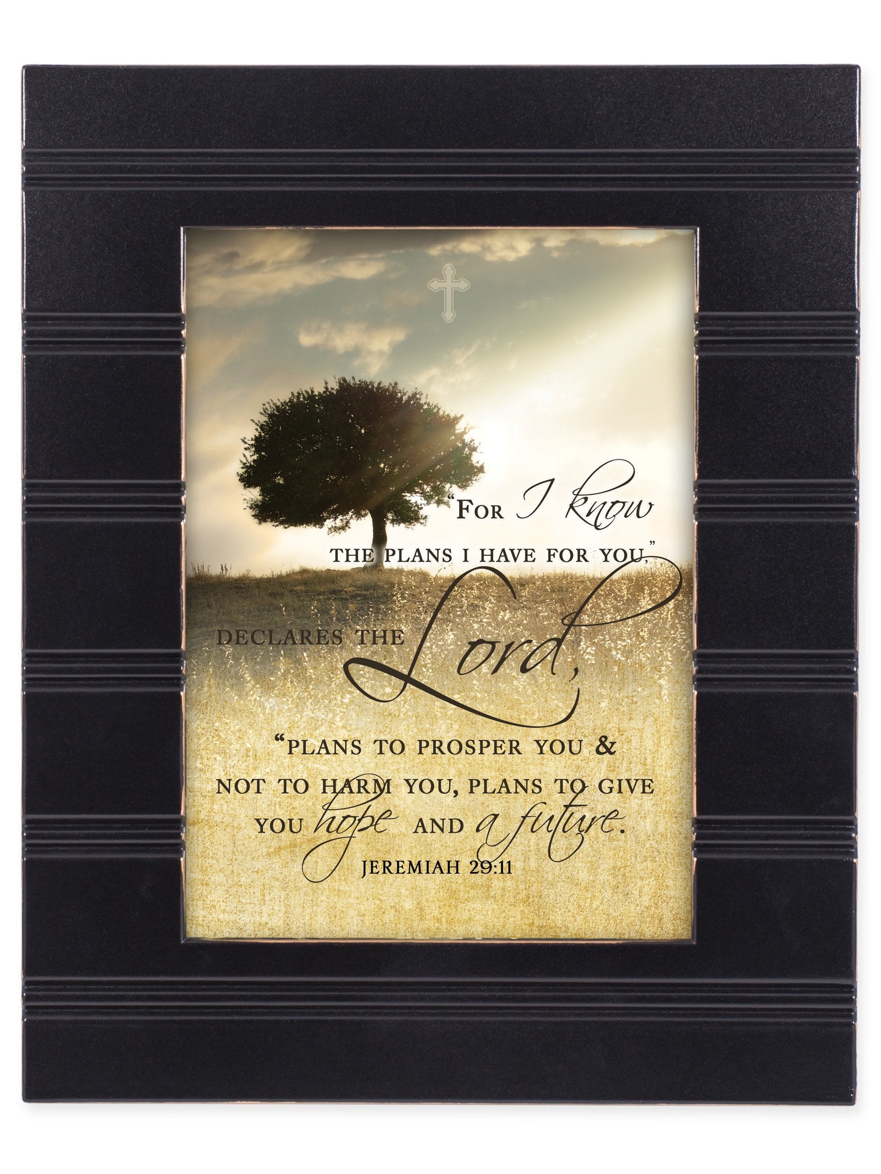 Cottage Garden for I Know The Plans I Have for You Black 8 x 10 Sentimental Framed Art Plaque