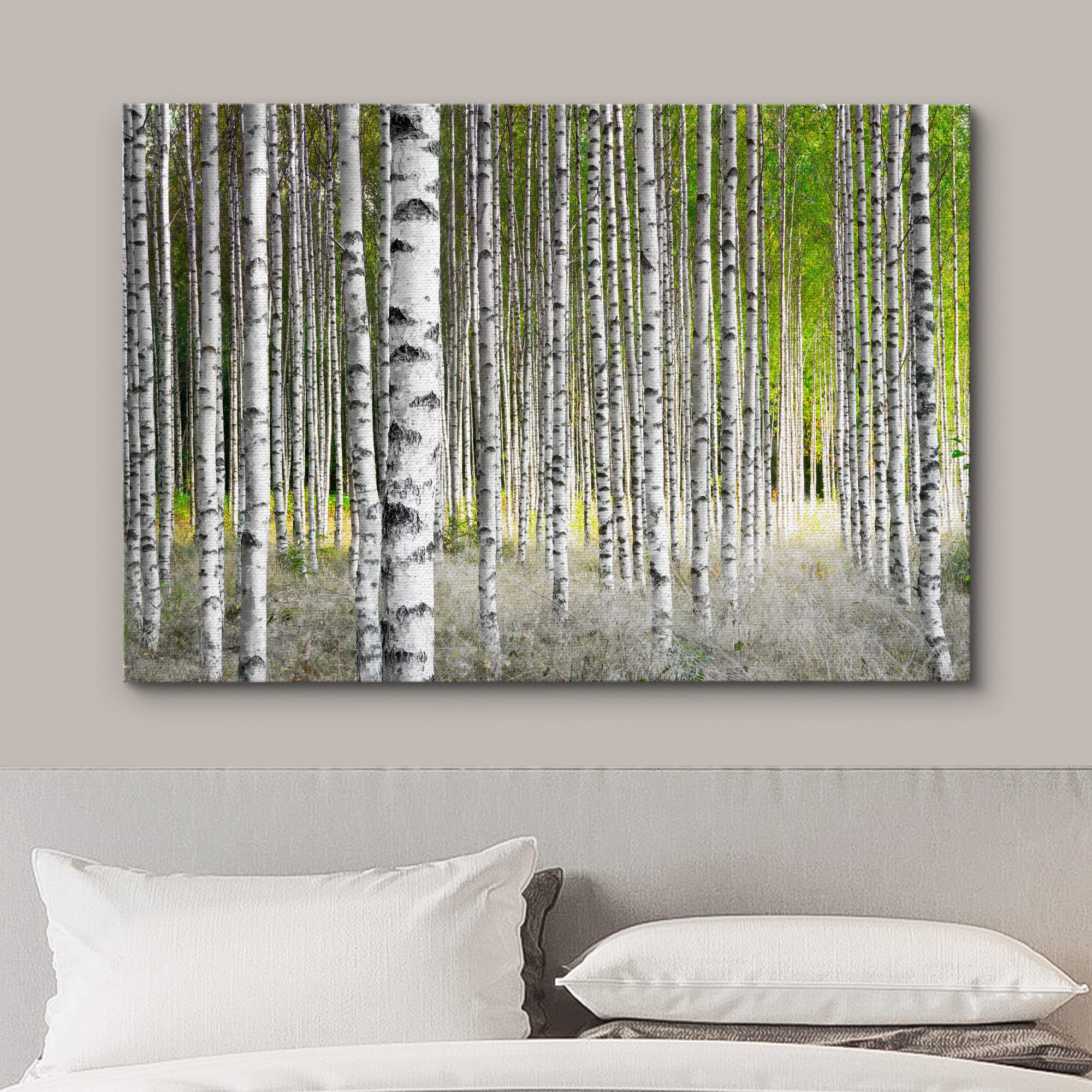 Wall26 Canvas Print Wall Art White Birch Trees In Green Forest Nature Wilderness Photography Modern Art Rustic Scenic Colorful M