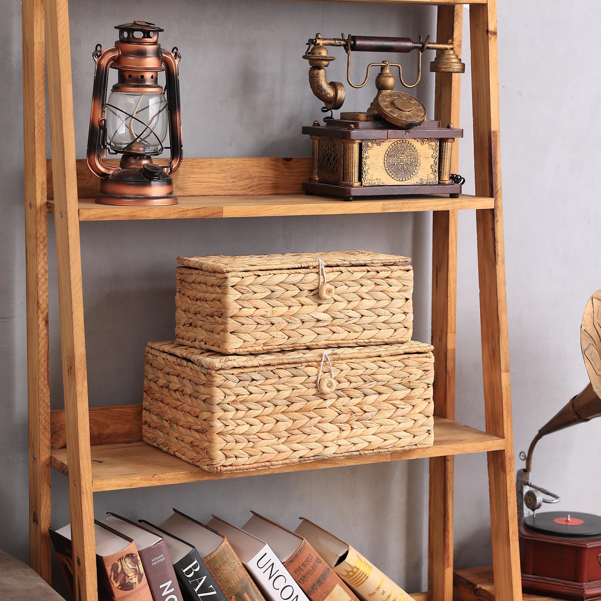 Lusydeco Set Of 2 Rectangular Wicker Storage Bins With Lid, Rattan Basket Decorative Boxes, Multipurpose Organizer Rattan Displa