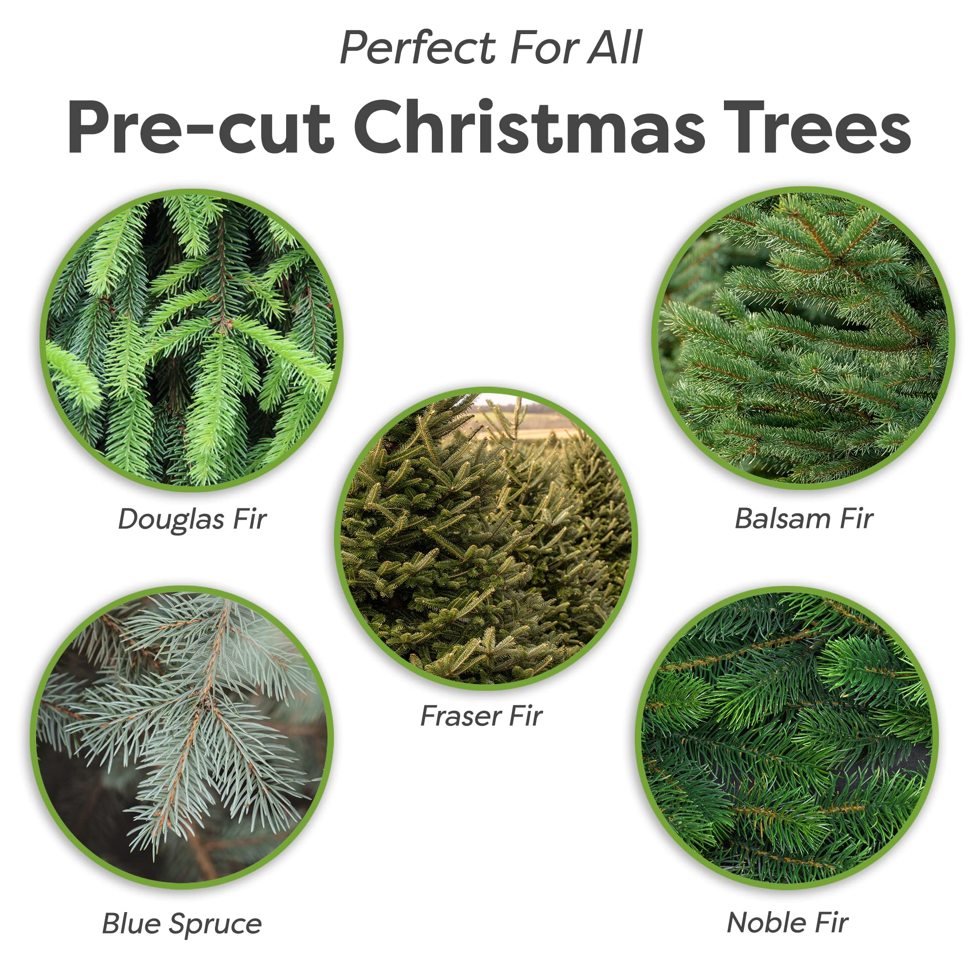 Perfect Plants Christmas Tree Saver 8oz. | Easy Use Xmas Tree Preserver Food | Have Healthy Green Christmas Trees All Holiday Se