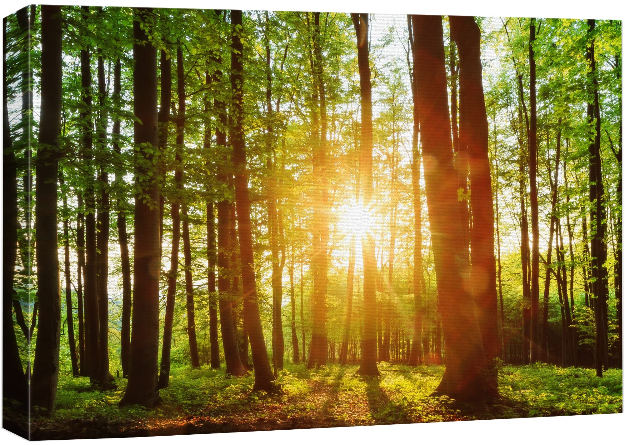 Wall26 Canvas Print Wall Art Sunrise Over The Green Forest Nature Wilderness Photography Modern Art Rustic Scenic Colorful Multi