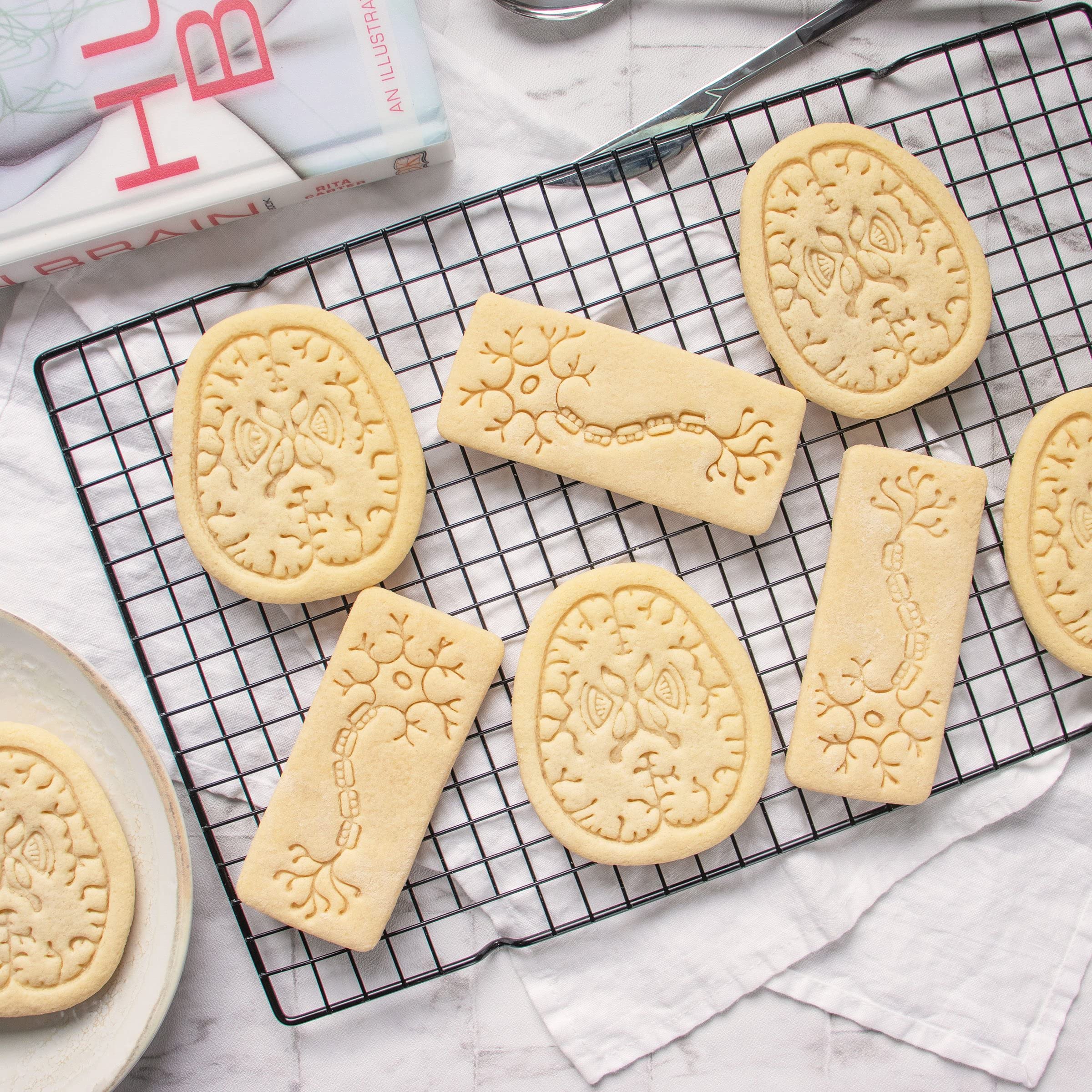 Set Of 2 Cookie Cutters (Designs: Neuron & Brain Axial Section), 2 Pieces - Bakerlogy