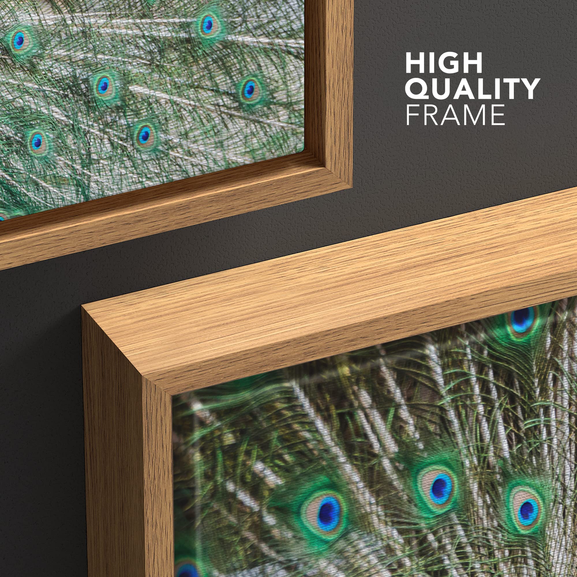 Wall26 Framed Canvas Prints Wall Art - Peacock Showing Its Beautiful Feathers/Spreading Its Tail | Modern Wall Decorstretched Ga